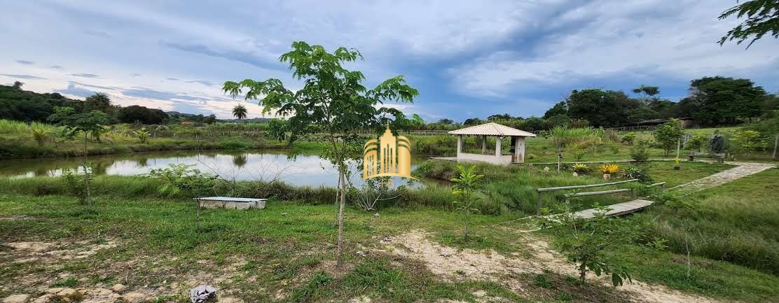 Sítio à venda e aluguel com 4 quartos, 10000m² - Foto 30