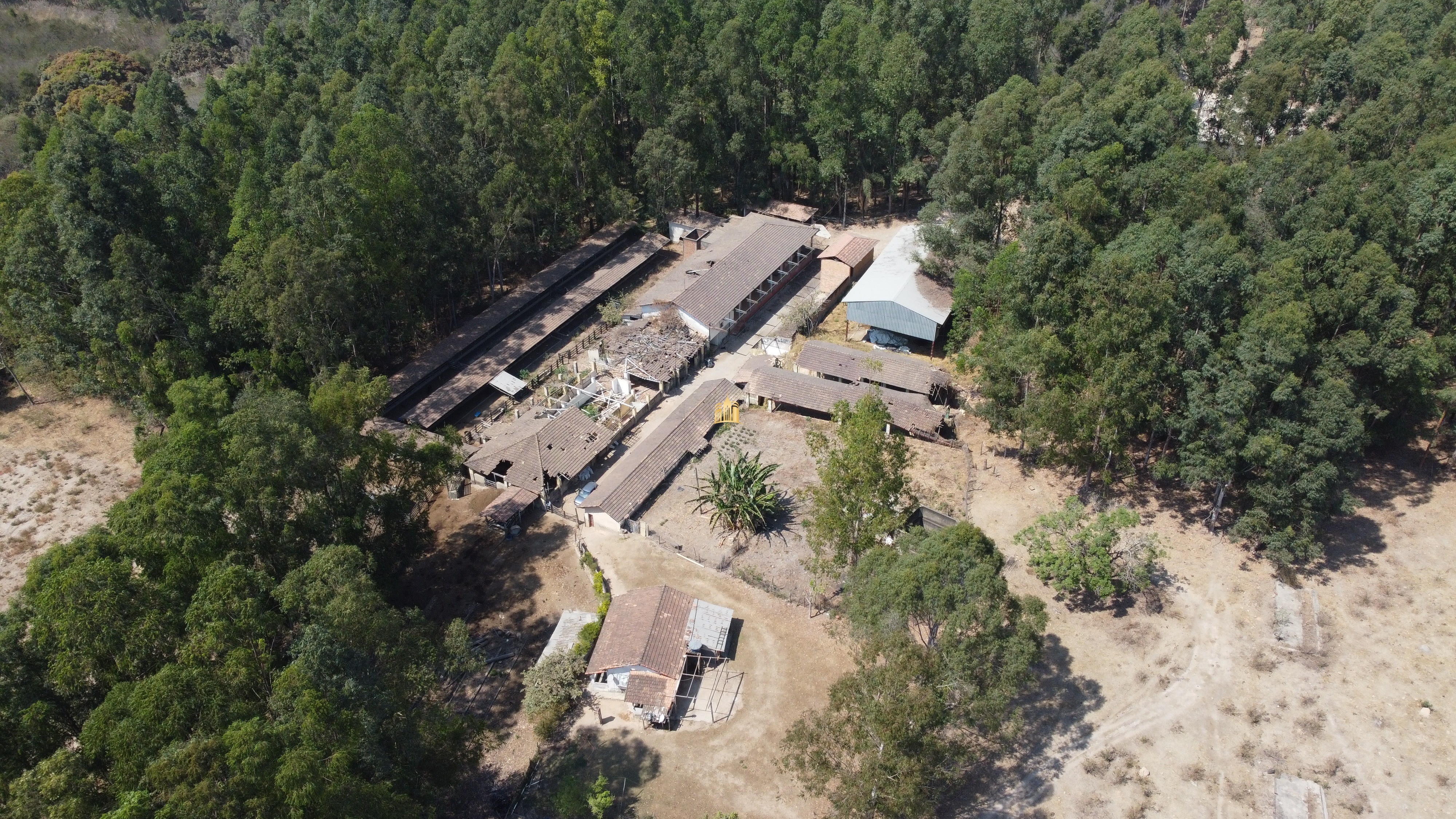 Fazenda à venda com 3 quartos, 3010000m² - Foto 5