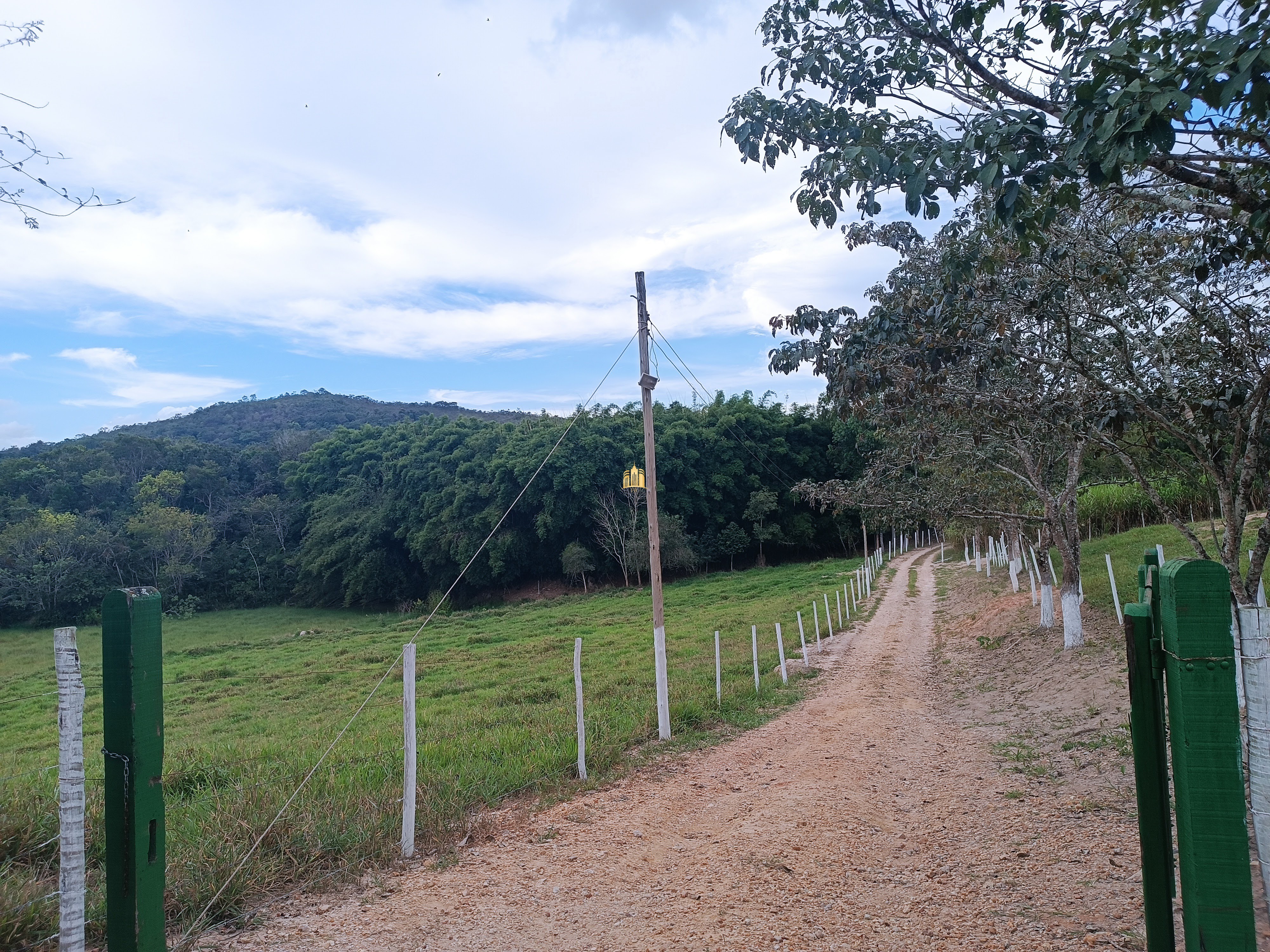 Fazenda à venda com 3 quartos, 220000m² - Foto 50