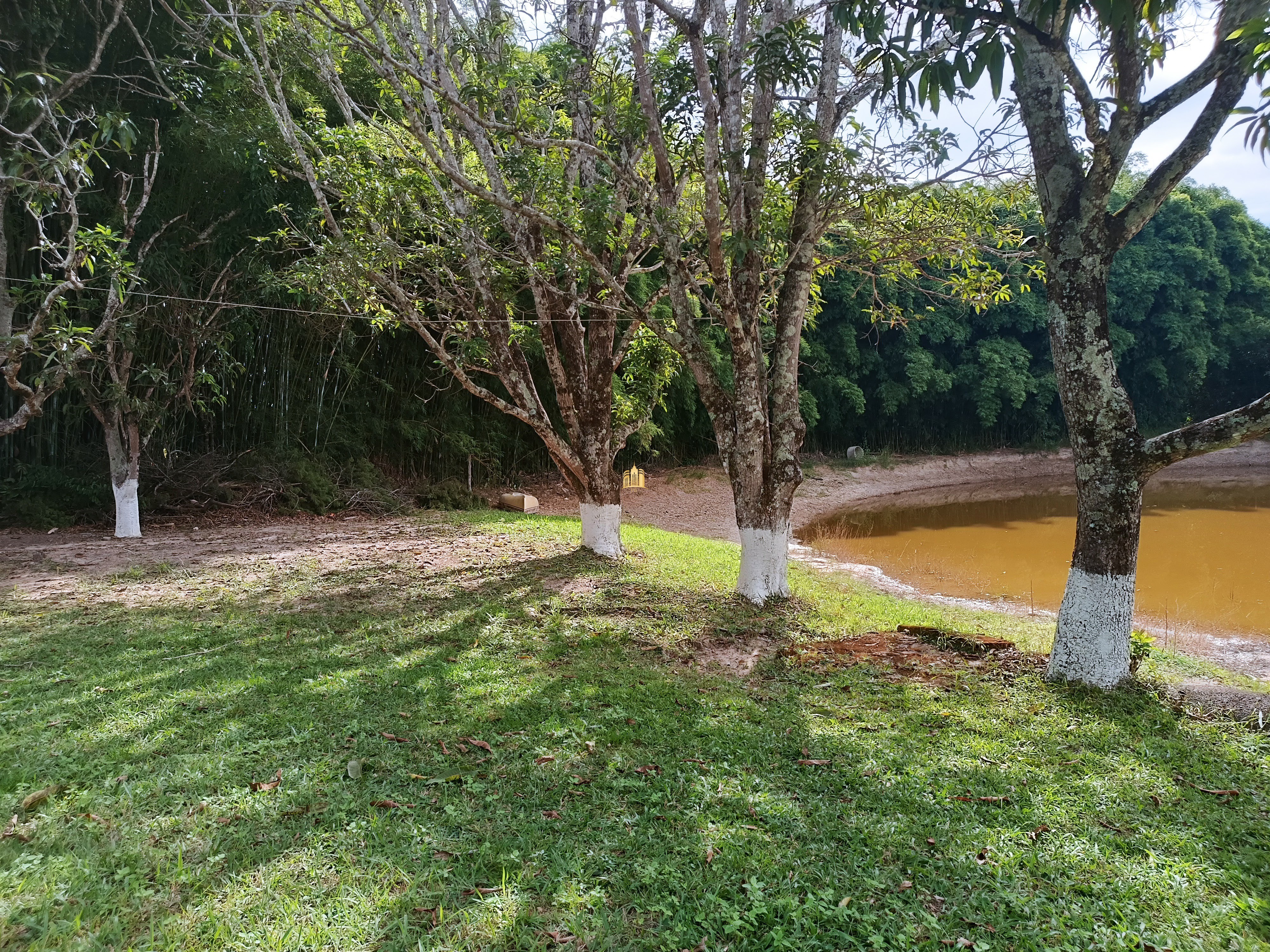 Fazenda à venda com 3 quartos, 220000m² - Foto 7