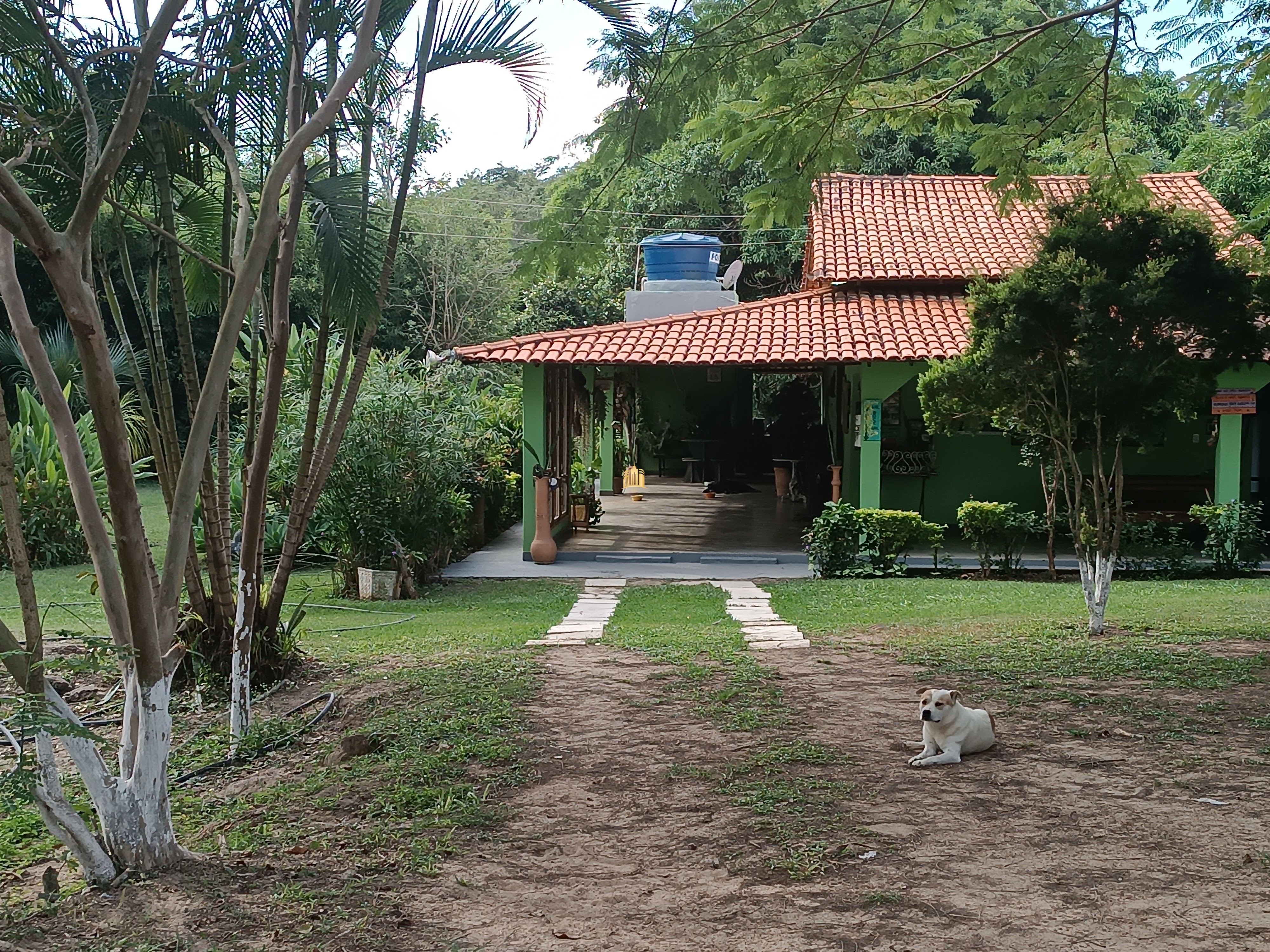 Fazenda à venda com 3 quartos, 220000m² - Foto 2