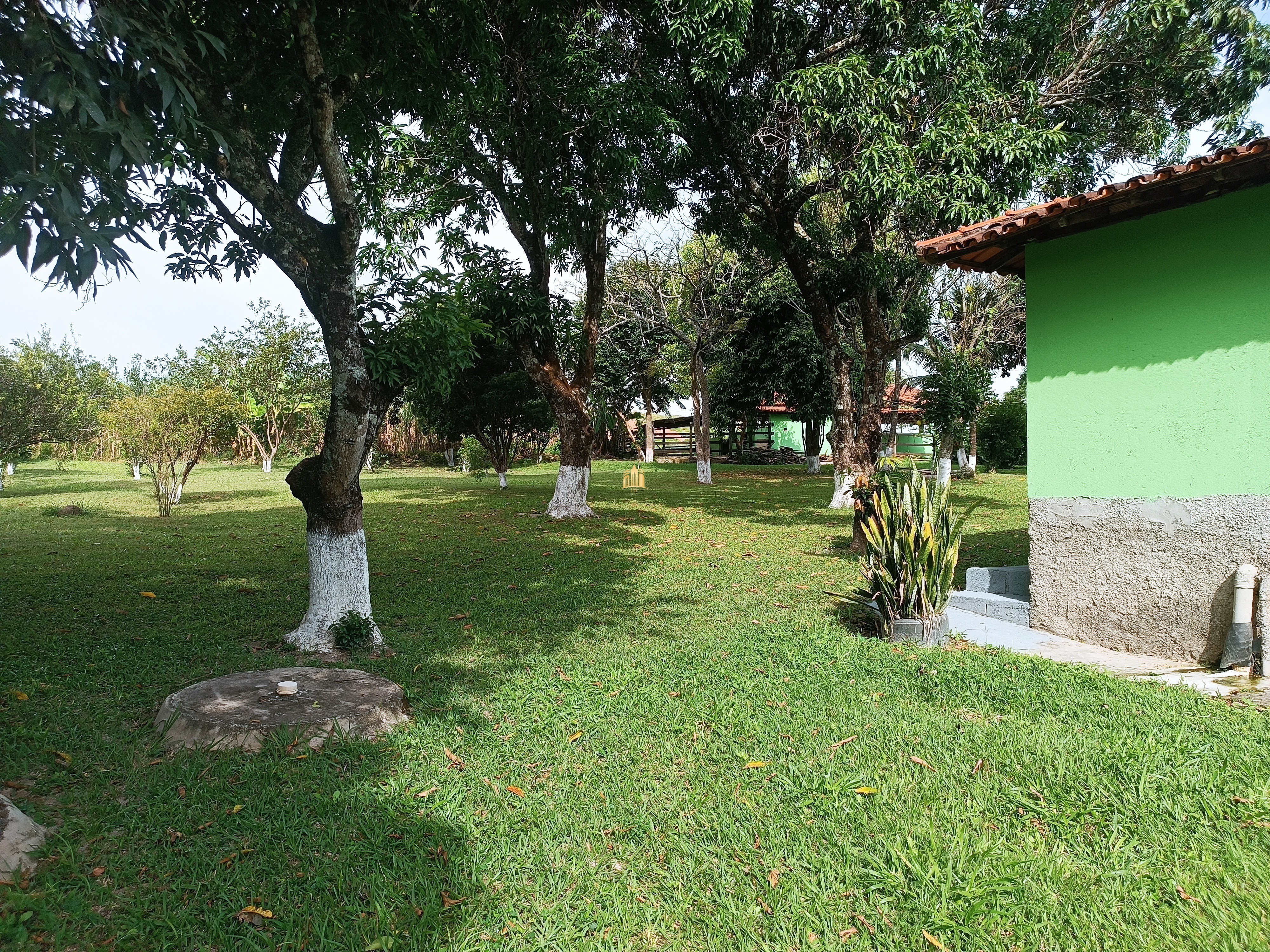 Fazenda à venda com 3 quartos, 220000m² - Foto 9