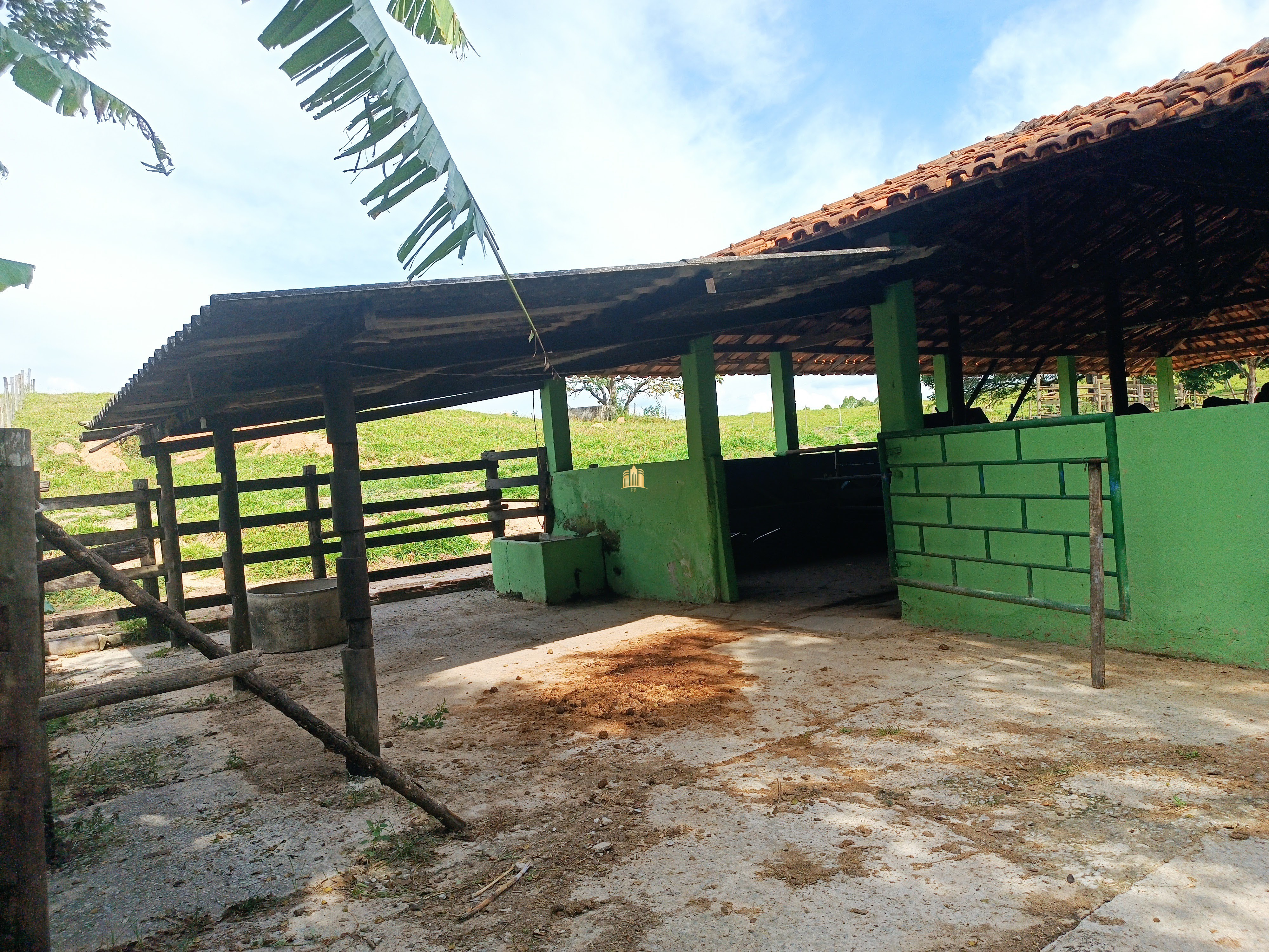 Fazenda à venda com 3 quartos, 220000m² - Foto 13