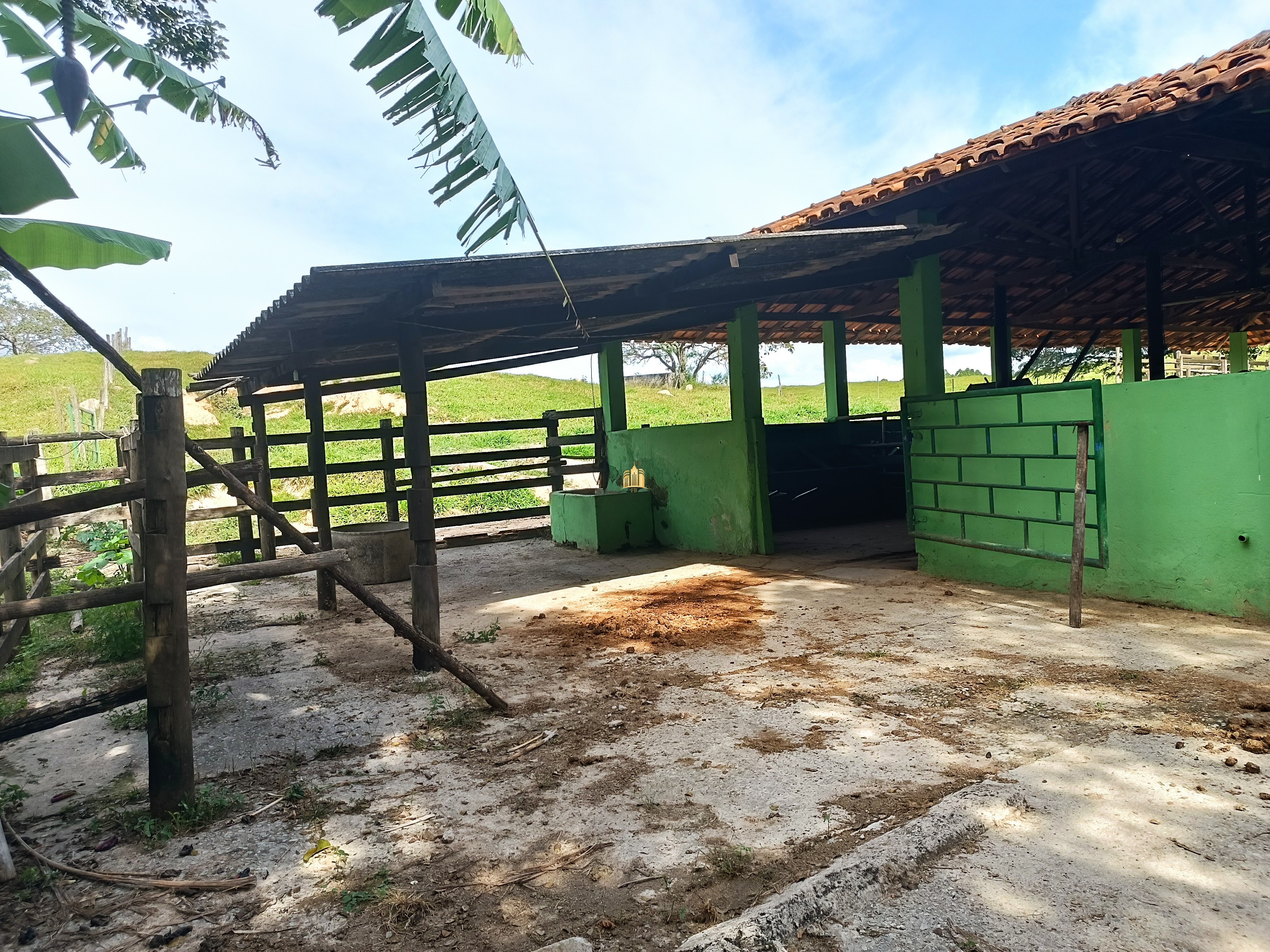 Fazenda à venda com 3 quartos, 220000m² - Foto 11