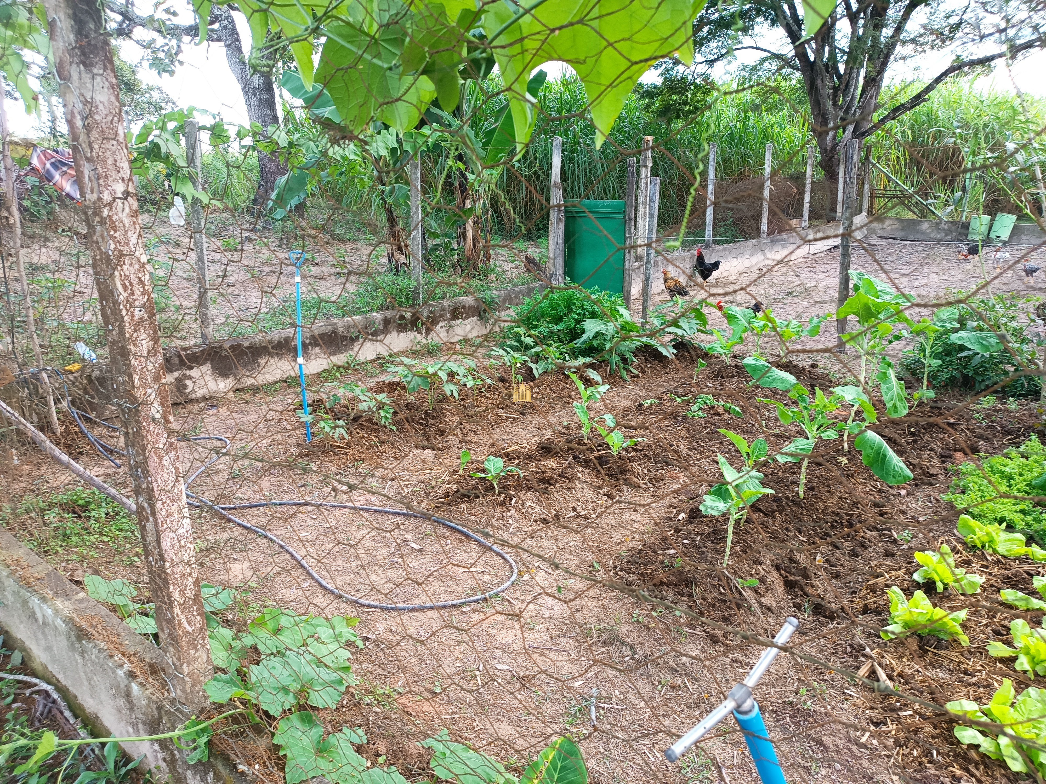 Fazenda à venda com 3 quartos, 220000m² - Foto 29