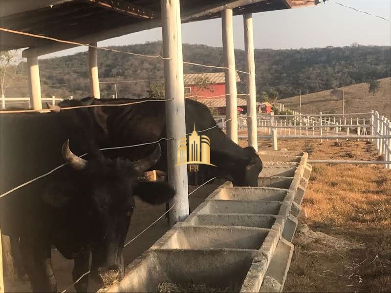 Fazenda à venda com 8 quartos, 110000m² - Foto 16