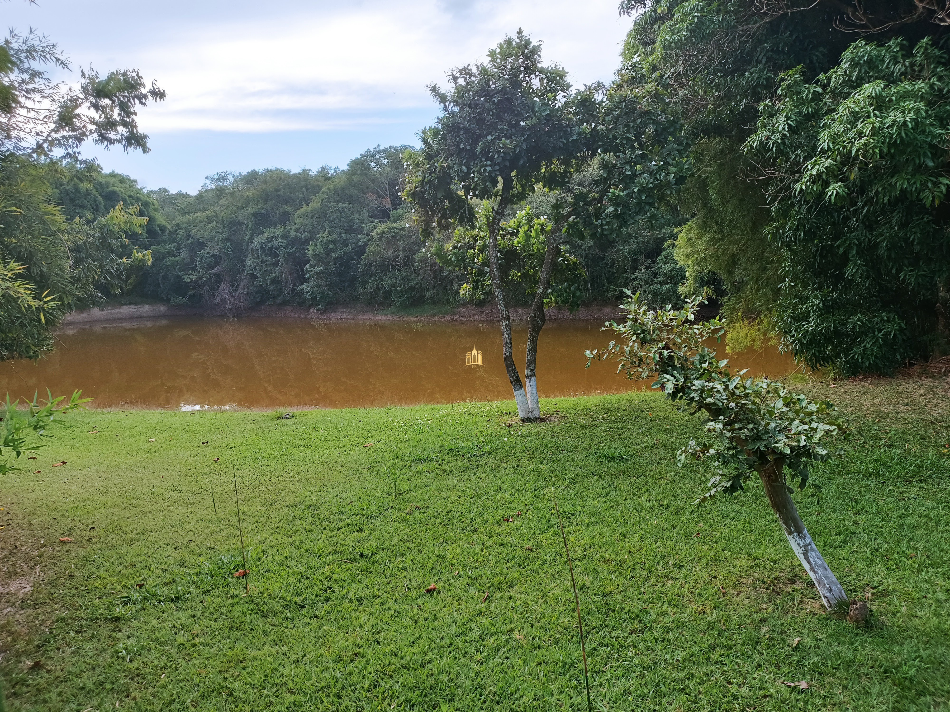 Fazenda à venda com 3 quartos, 220000m² - Foto 41