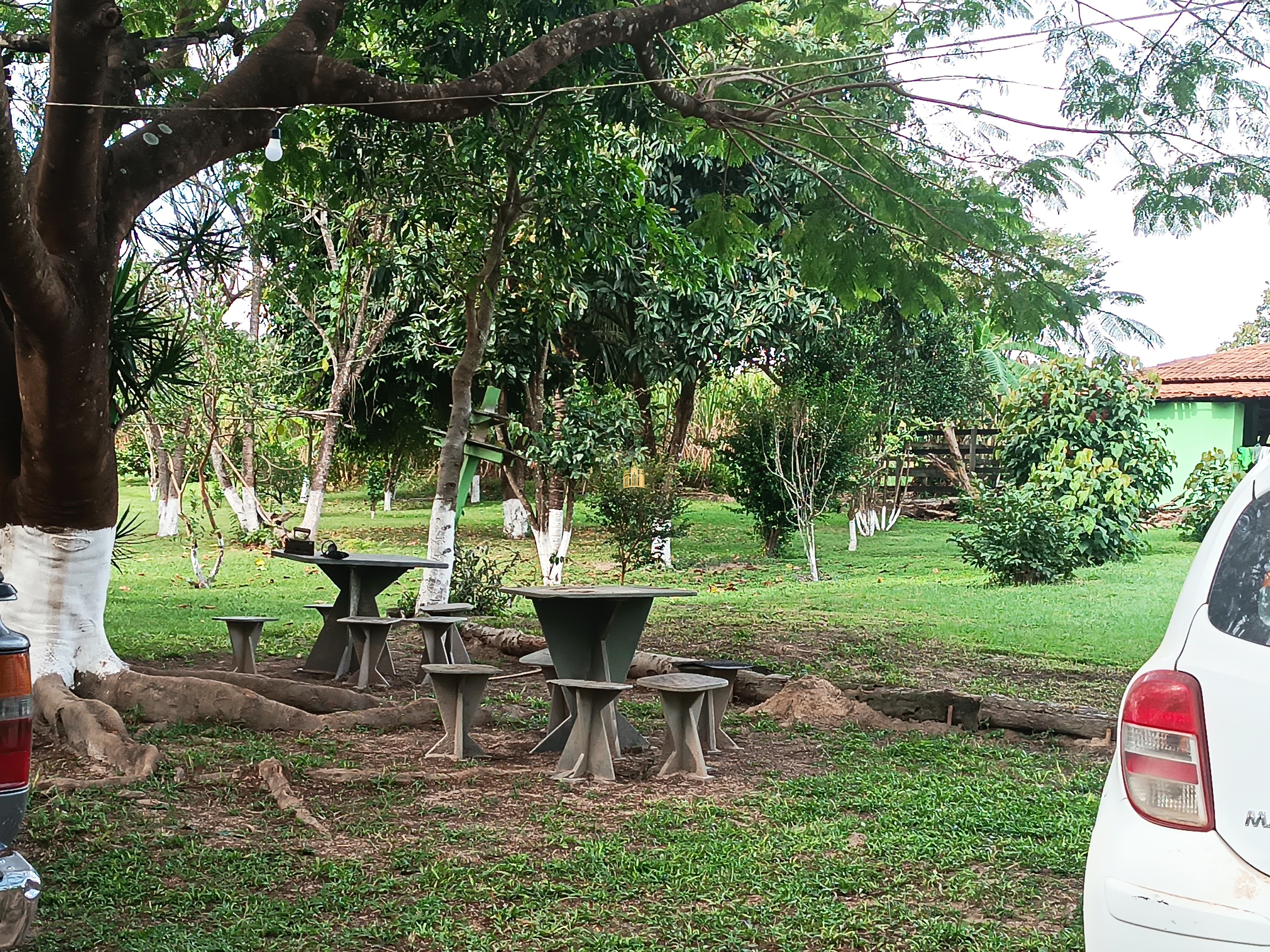 Fazenda à venda com 3 quartos, 220000m² - Foto 36