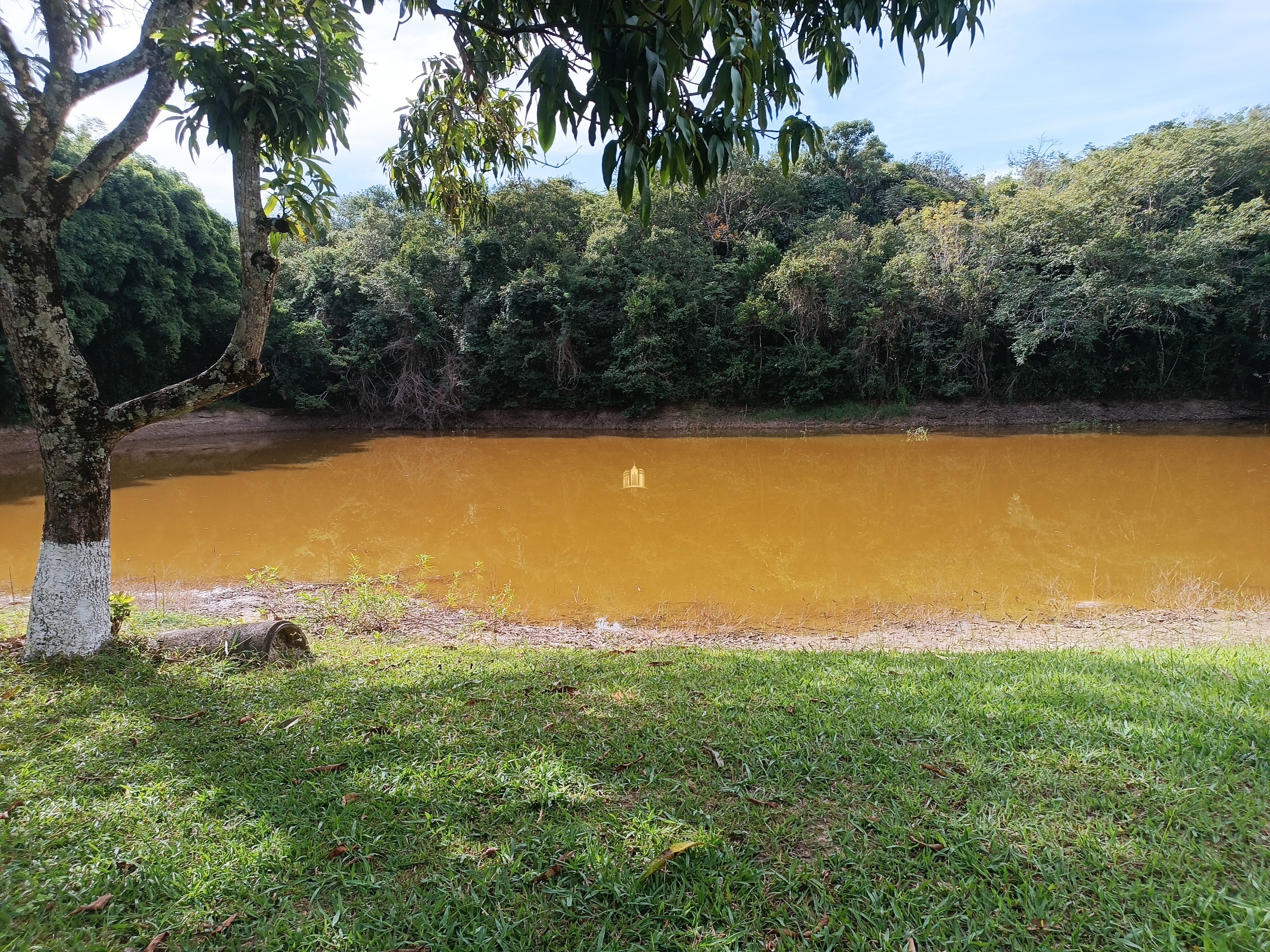 Fazenda à venda com 3 quartos, 220000m² - Foto 4