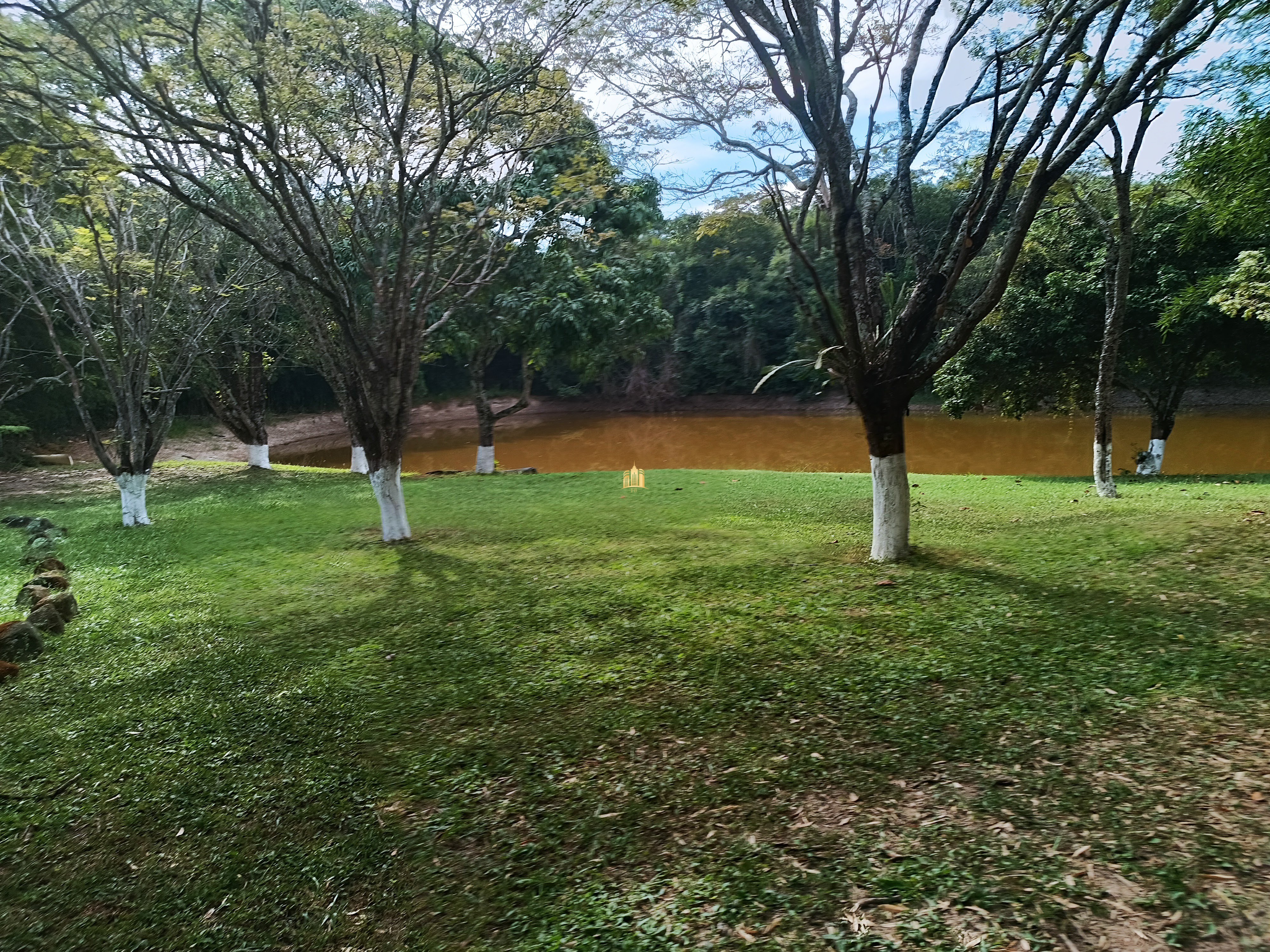 Fazenda à venda com 3 quartos, 220000m² - Foto 5