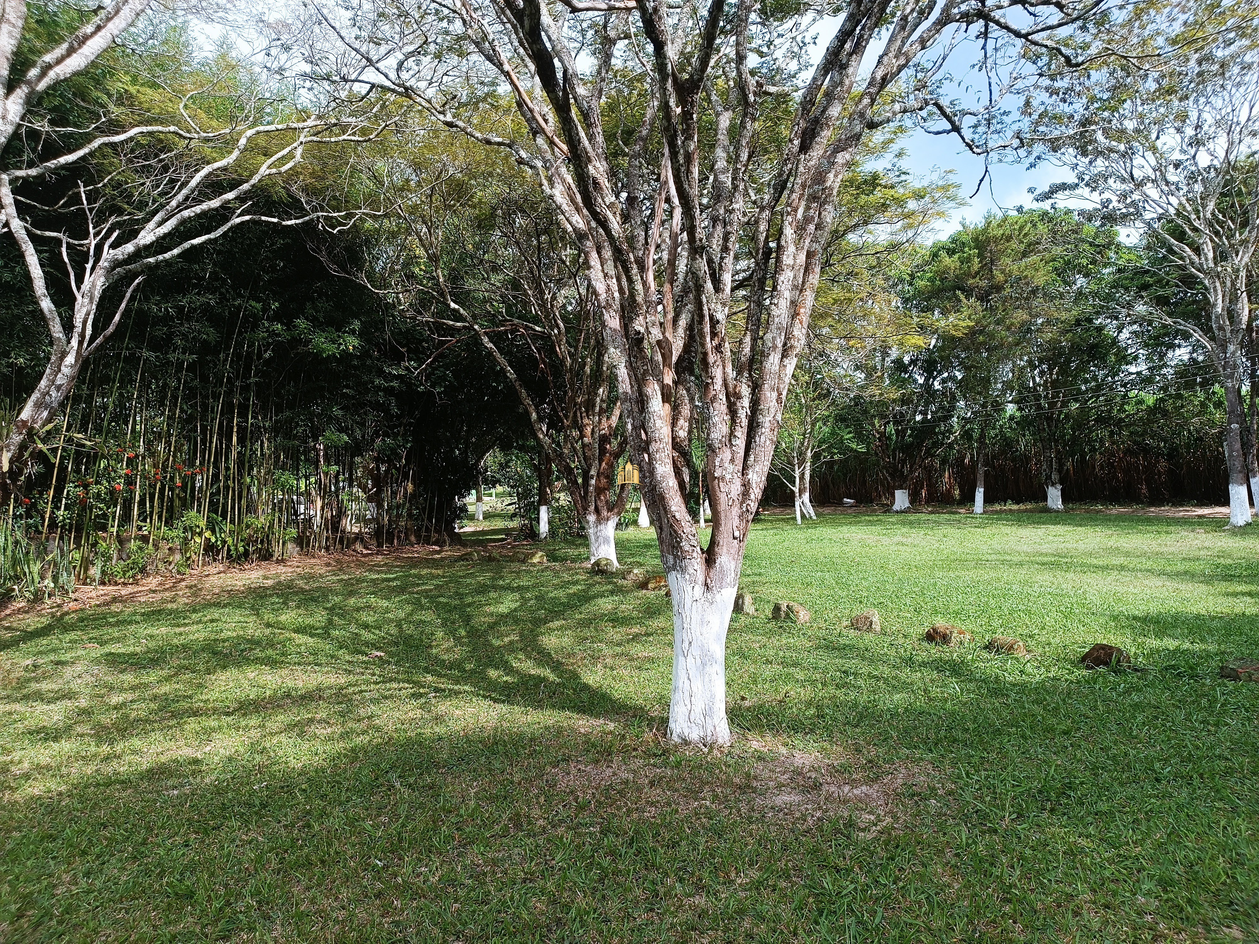 Fazenda à venda com 3 quartos, 220000m² - Foto 8