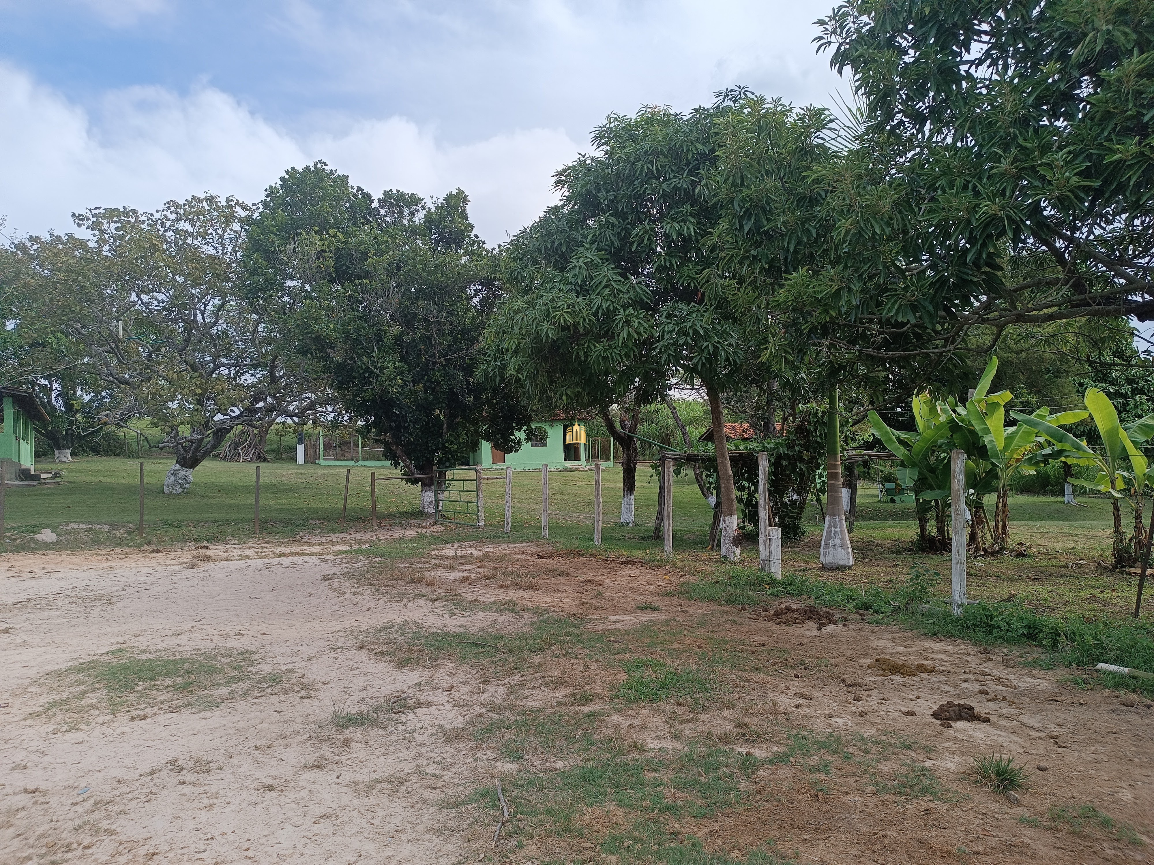 Fazenda à venda com 3 quartos, 220000m² - Foto 20