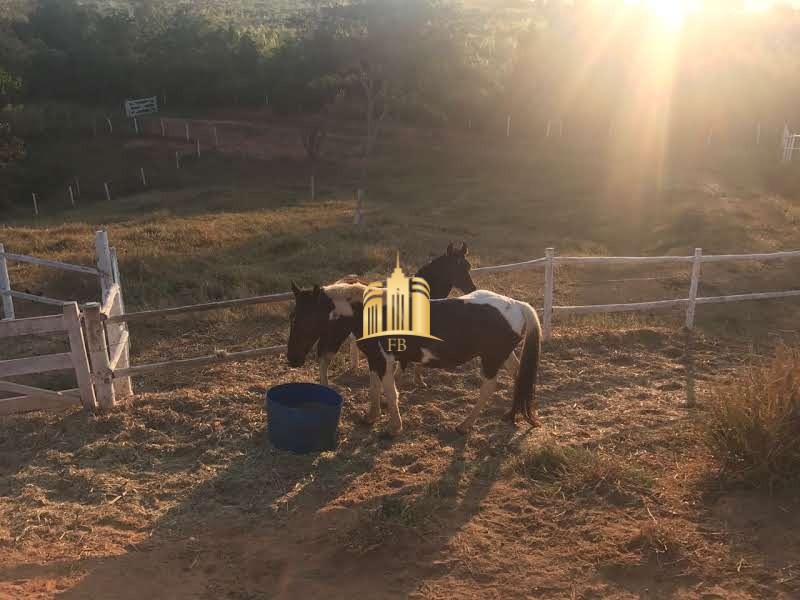 Fazenda à venda com 8 quartos, 110000m² - Foto 17