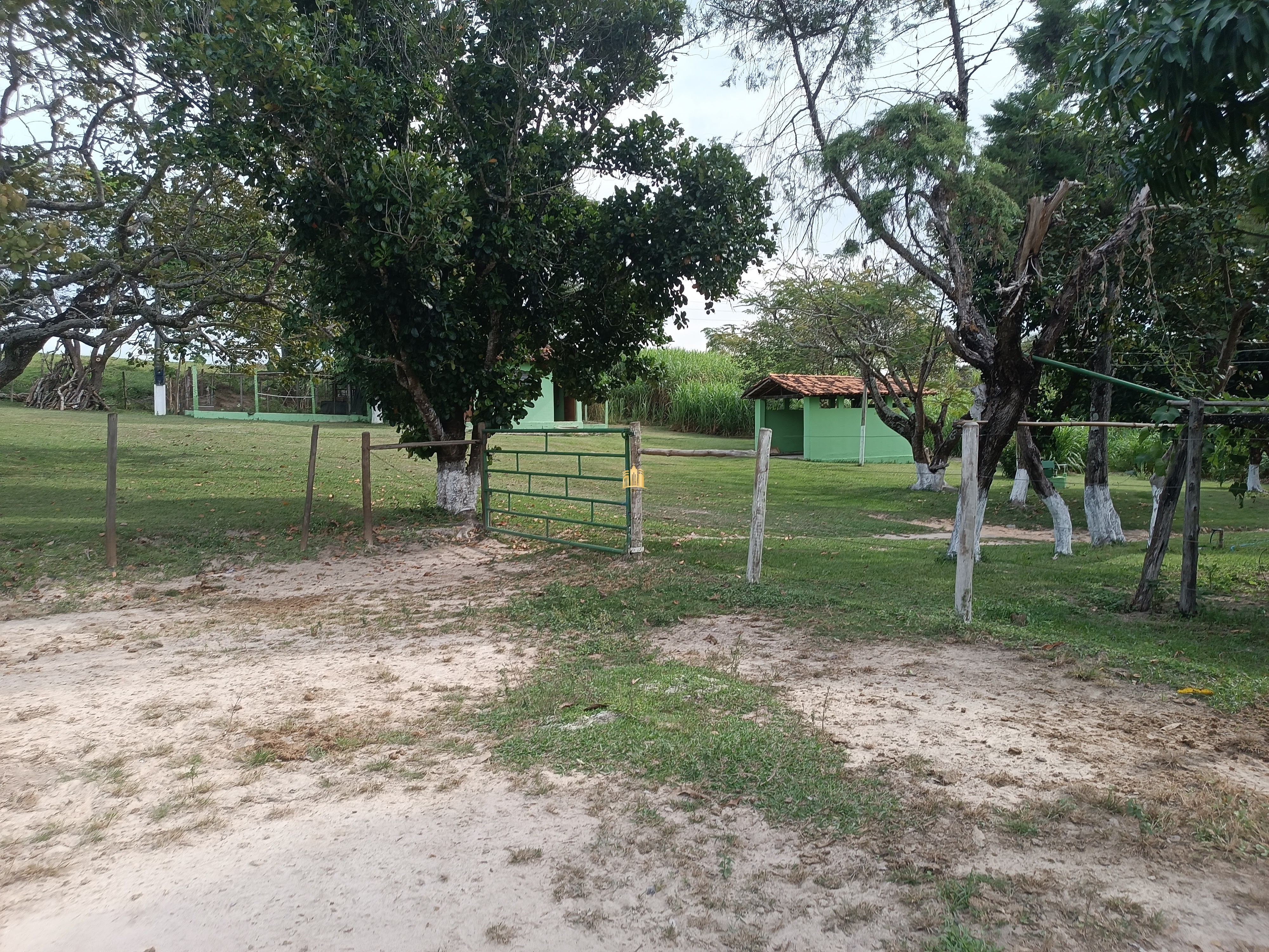 Fazenda à venda com 3 quartos, 220000m² - Foto 21