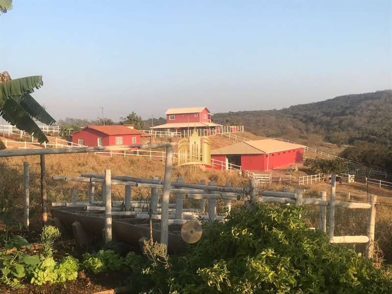 Fazenda à venda com 8 quartos, 110000m² - Foto 6