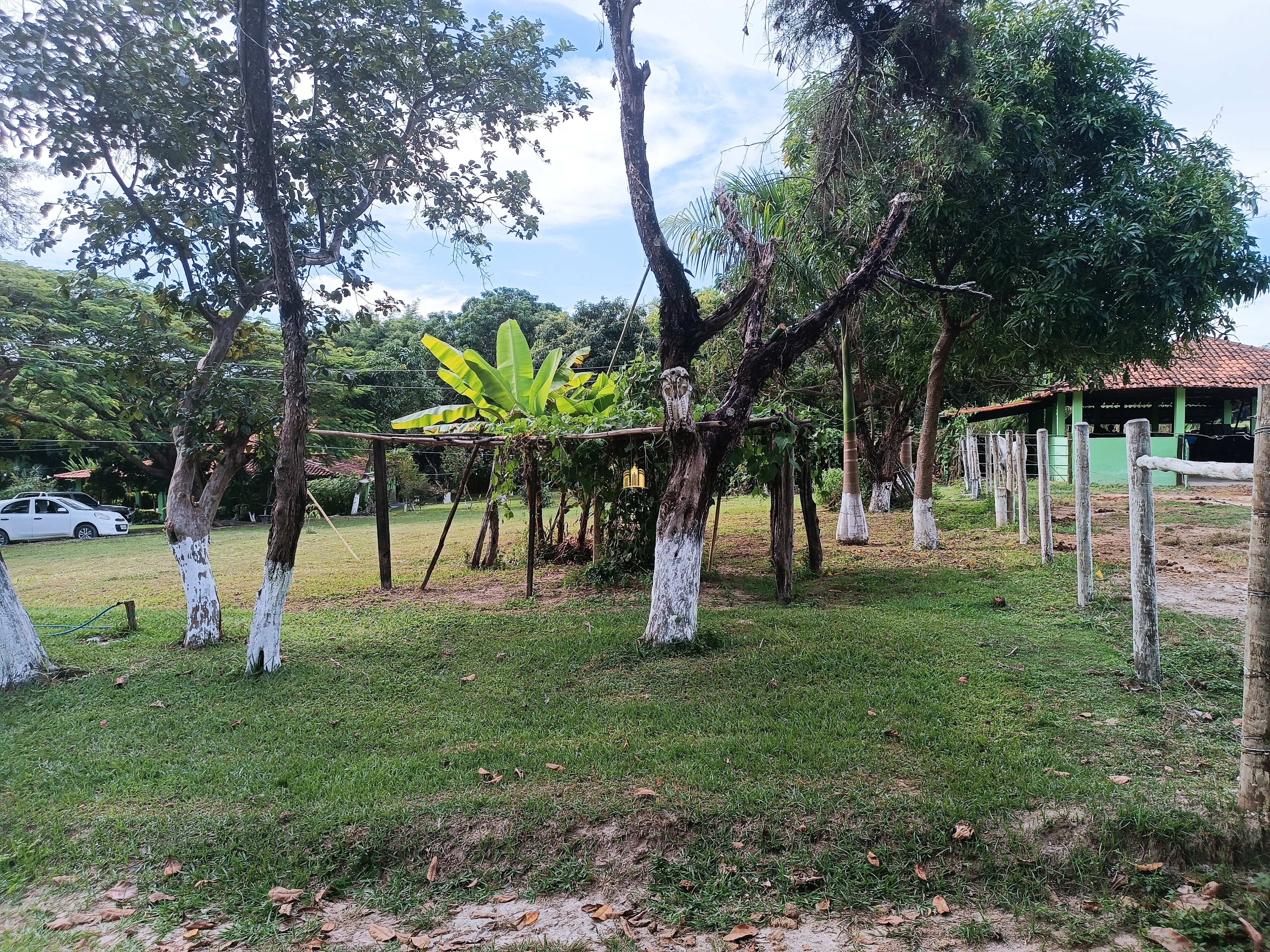 Fazenda à venda com 3 quartos, 220000m² - Foto 22