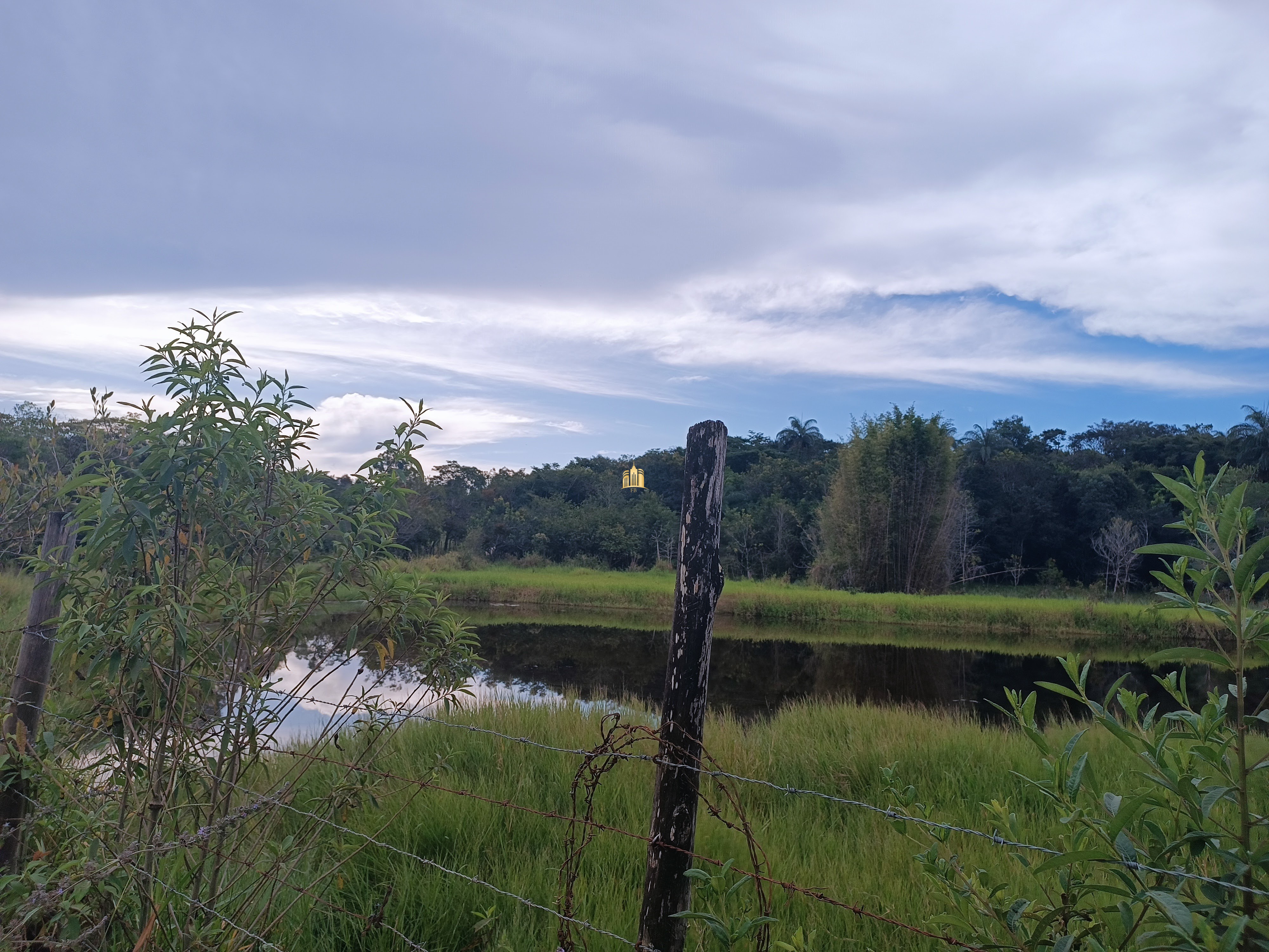 Fazenda à venda com 3 quartos, 220000m² - Foto 34