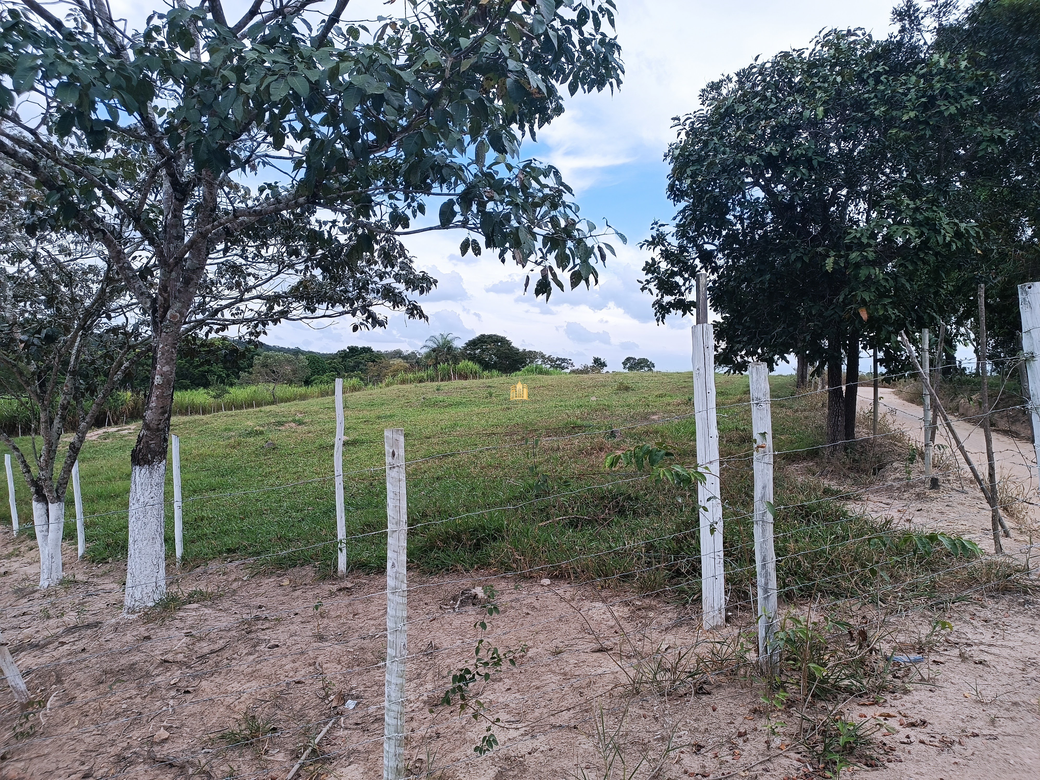 Fazenda à venda com 3 quartos, 220000m² - Foto 51