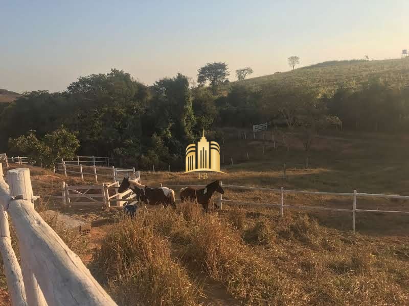 Fazenda à venda com 8 quartos, 110000m² - Foto 11