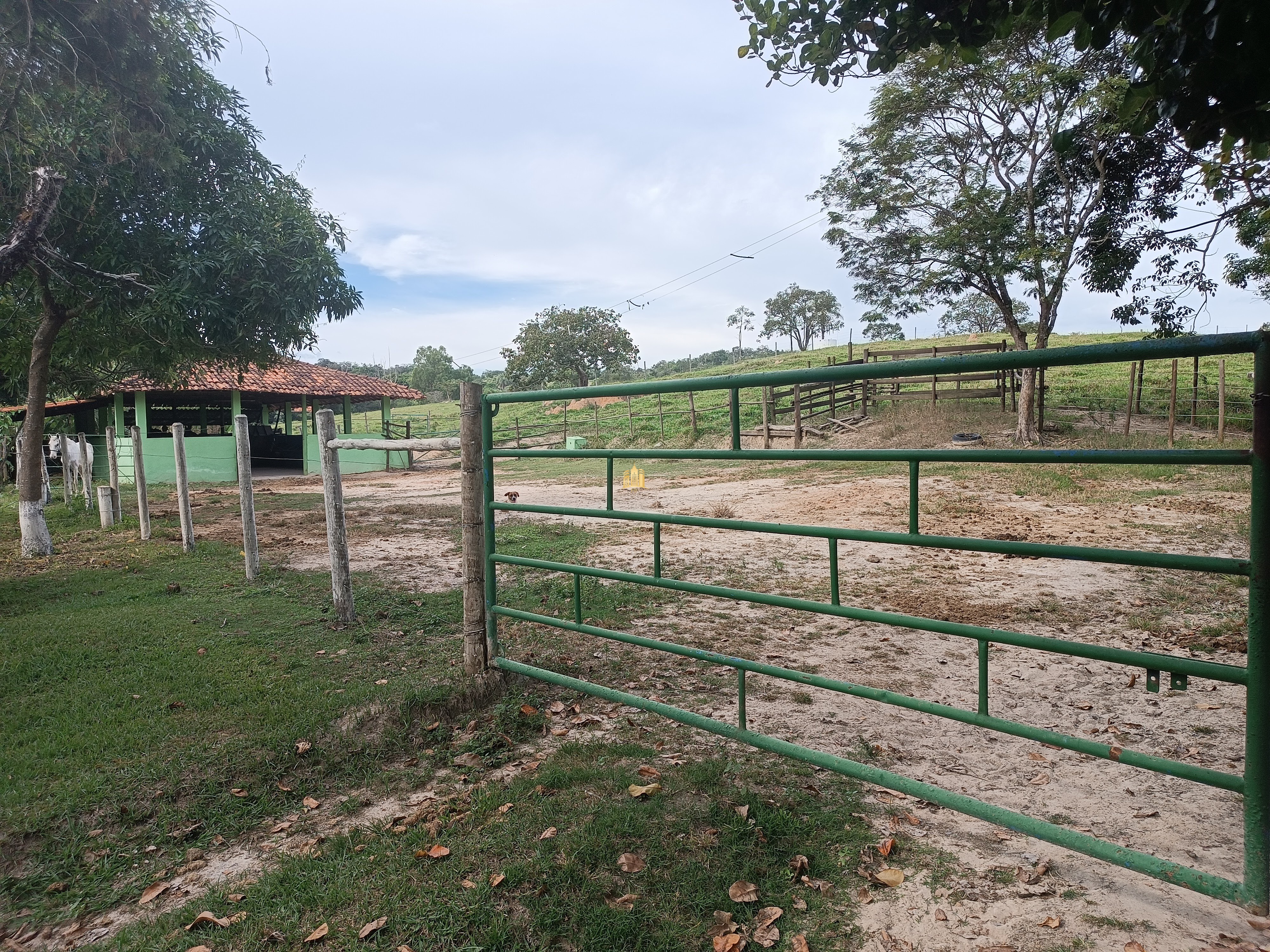 Fazenda à venda com 3 quartos, 220000m² - Foto 23