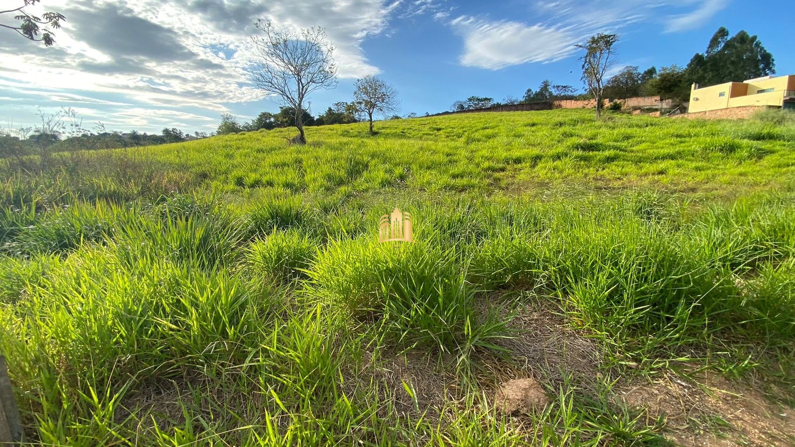 Terreno à venda, 1946m² - Foto 3