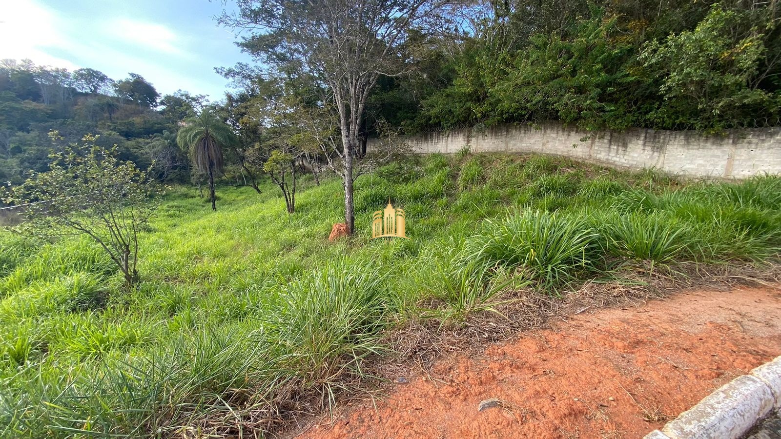 Terreno à venda, 2268m² - Foto 8