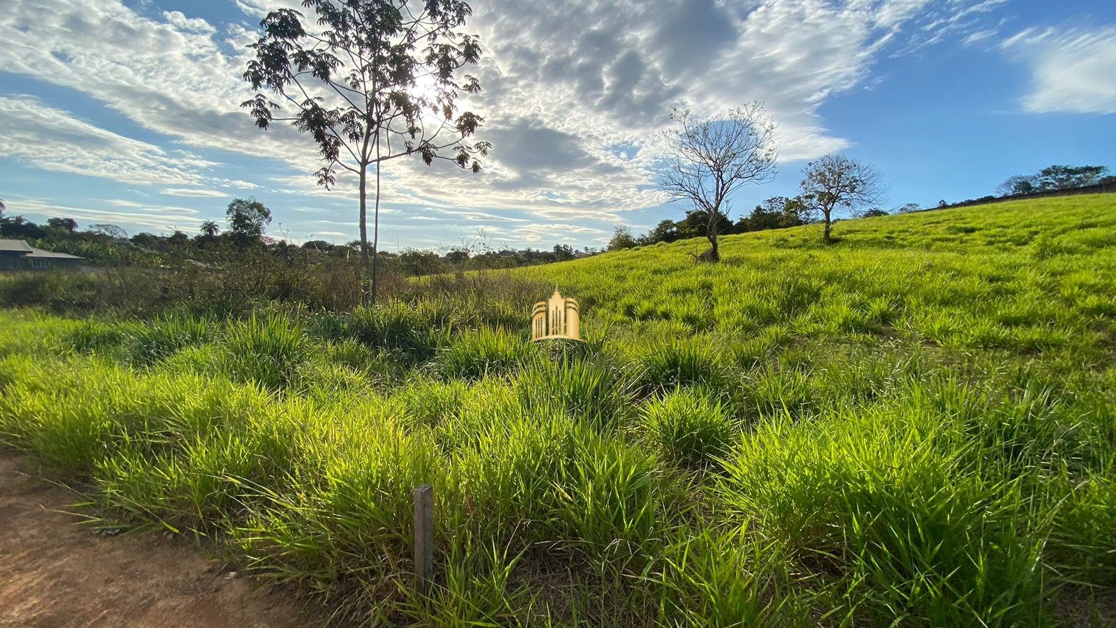 Terreno à venda, 1946m² - Foto 4