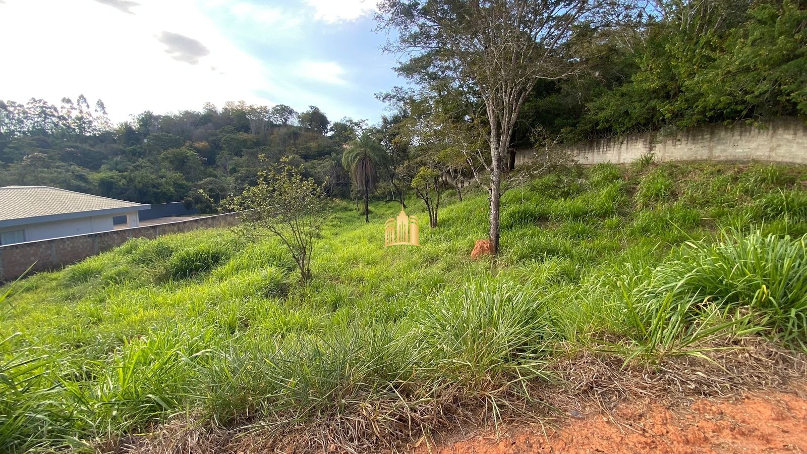 Terreno à venda, 2268m² - Foto 6