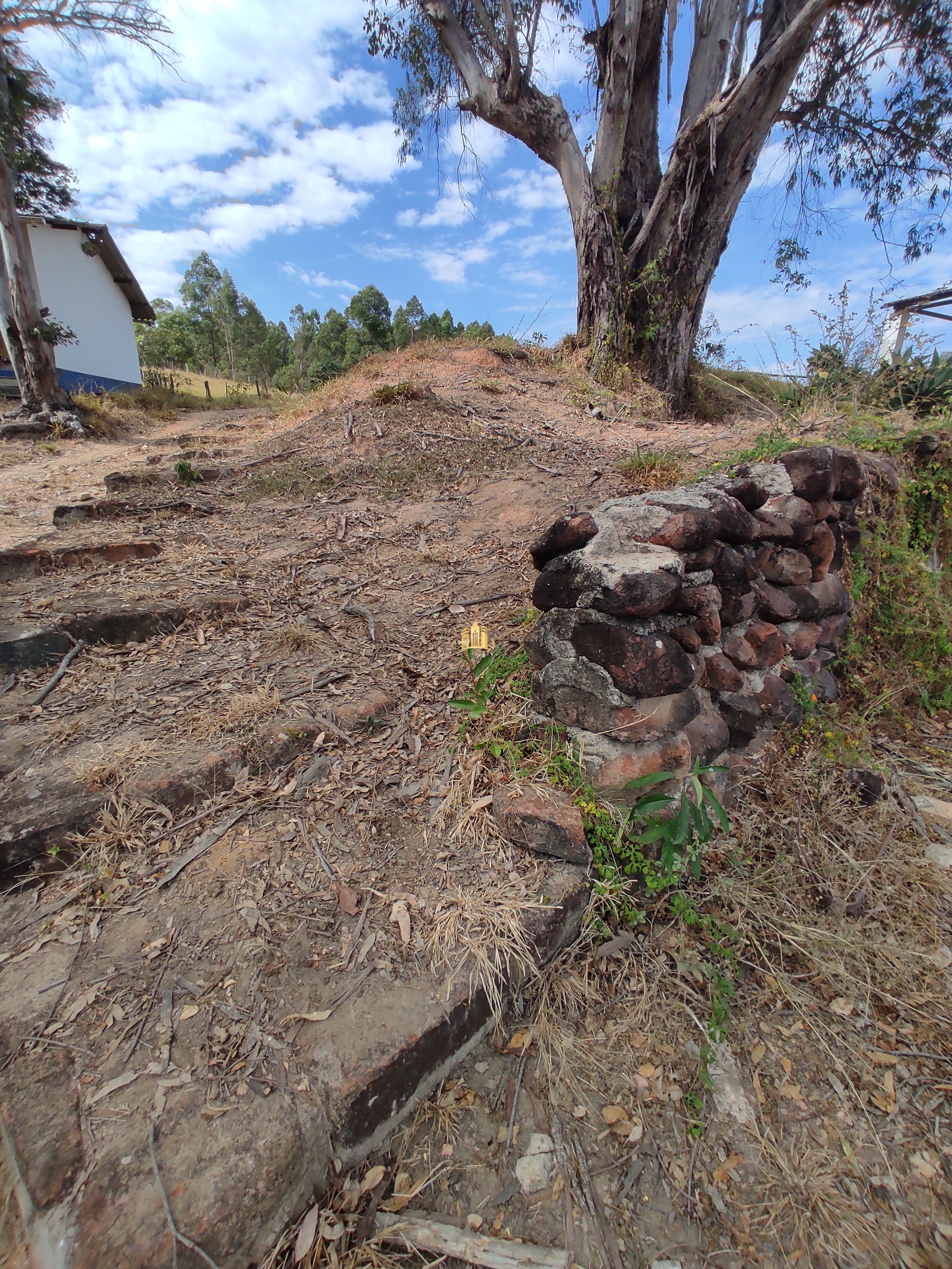 Fazenda à venda com 7 quartos, 1391707m² - Foto 134