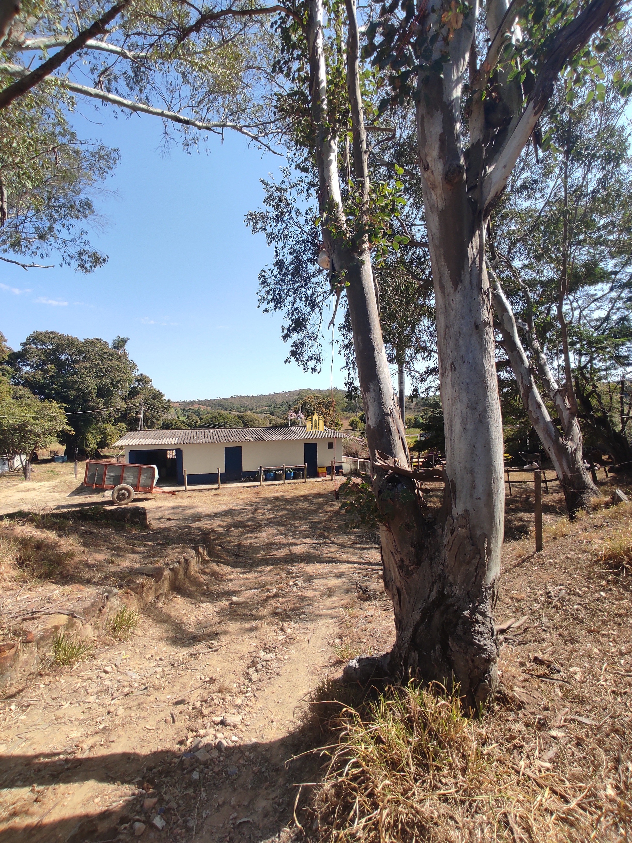 Fazenda à venda com 7 quartos, 1391707m² - Foto 84