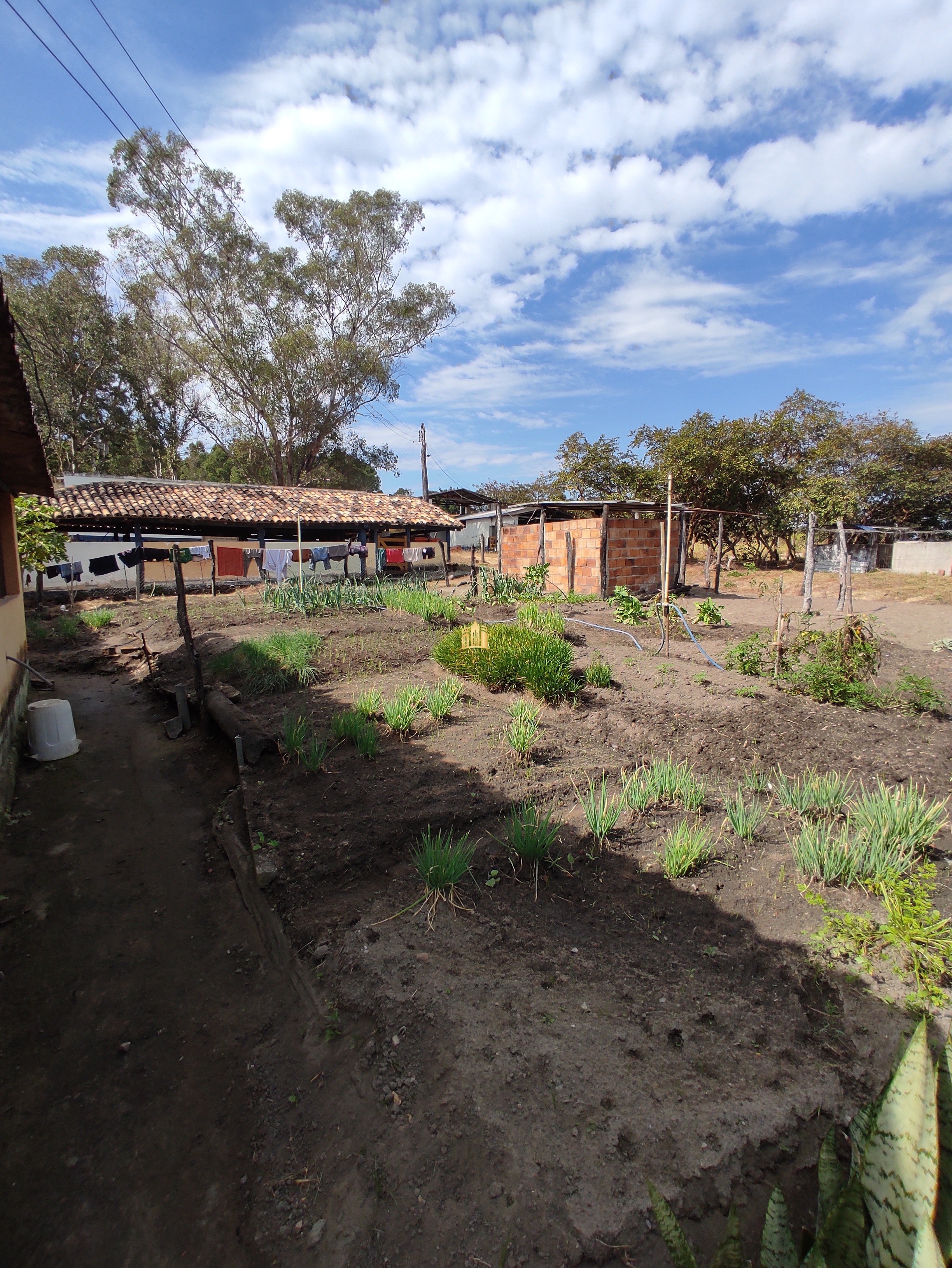 Fazenda à venda com 7 quartos, 1391707m² - Foto 148