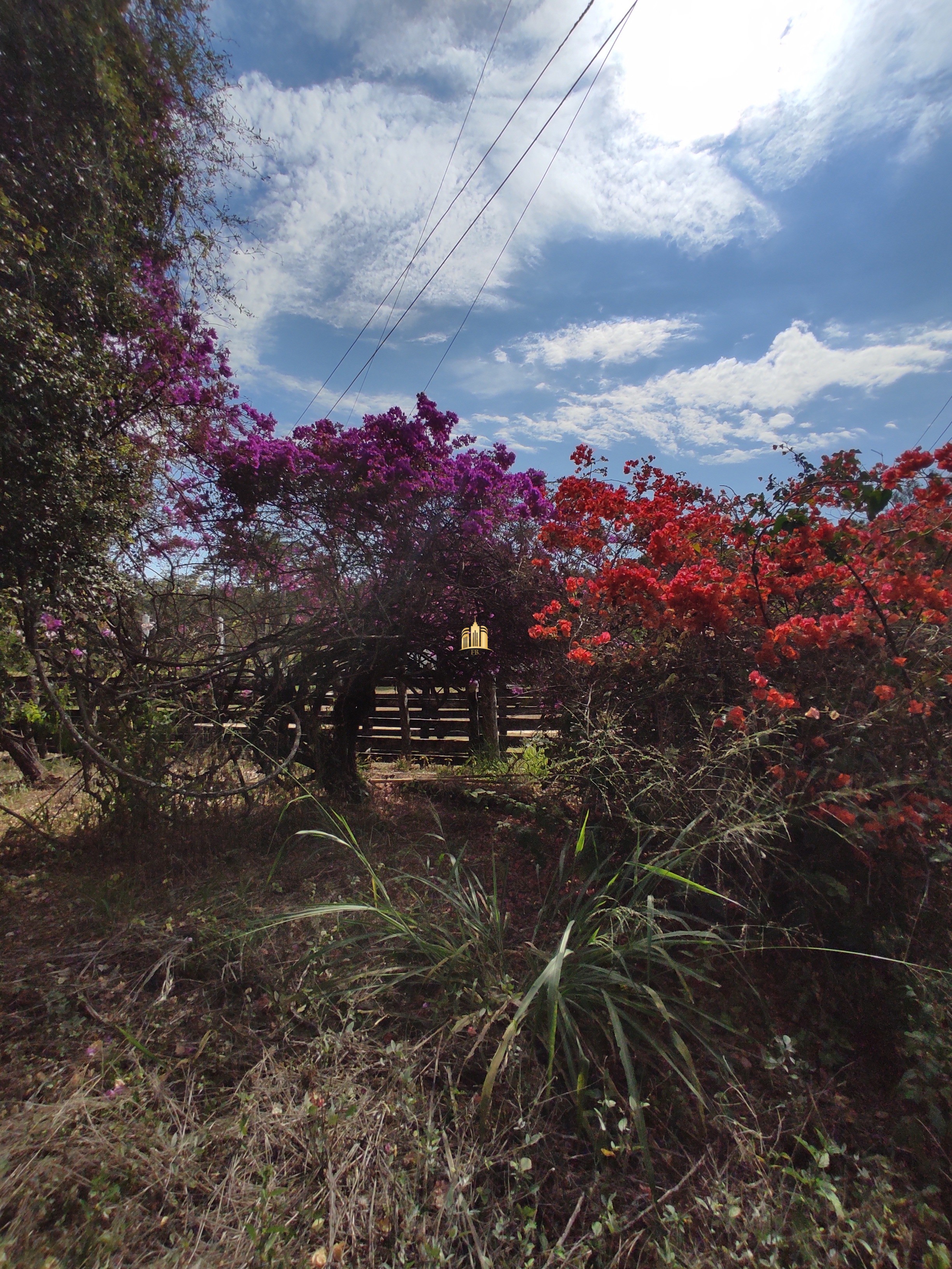 Fazenda à venda com 7 quartos, 1391707m² - Foto 49