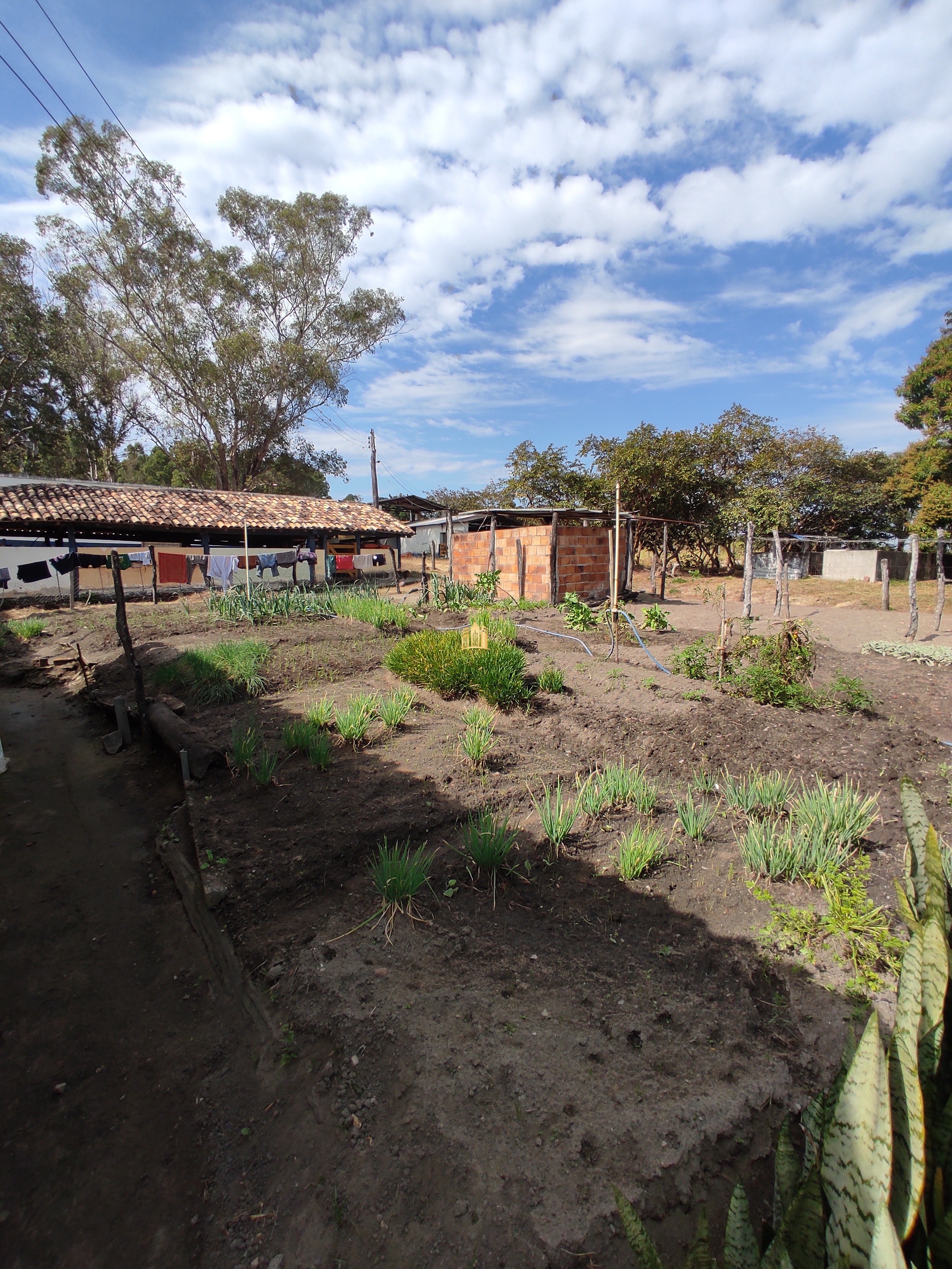 Fazenda à venda com 7 quartos, 1391707m² - Foto 80