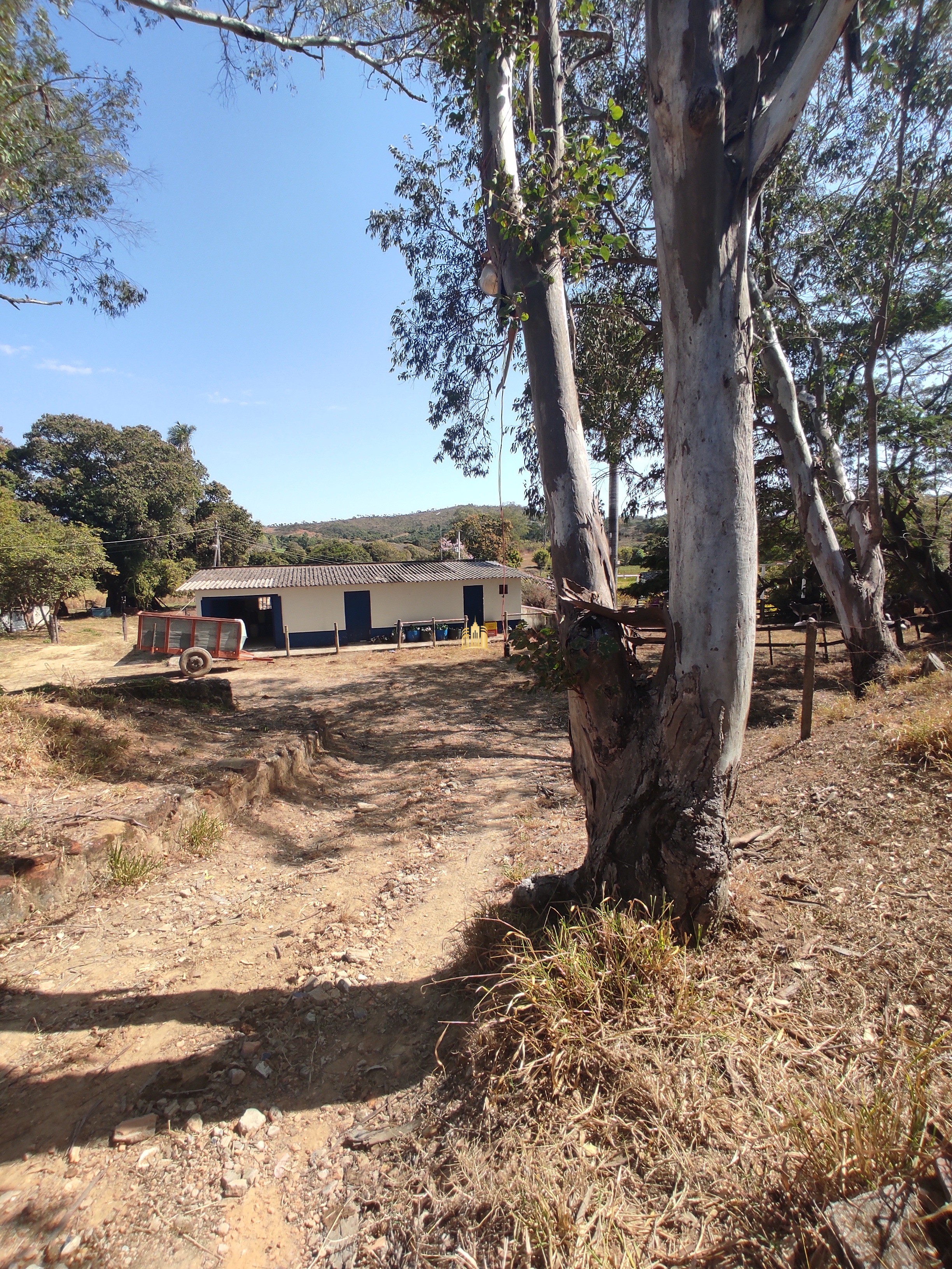 Fazenda à venda com 7 quartos, 1391707m² - Foto 21