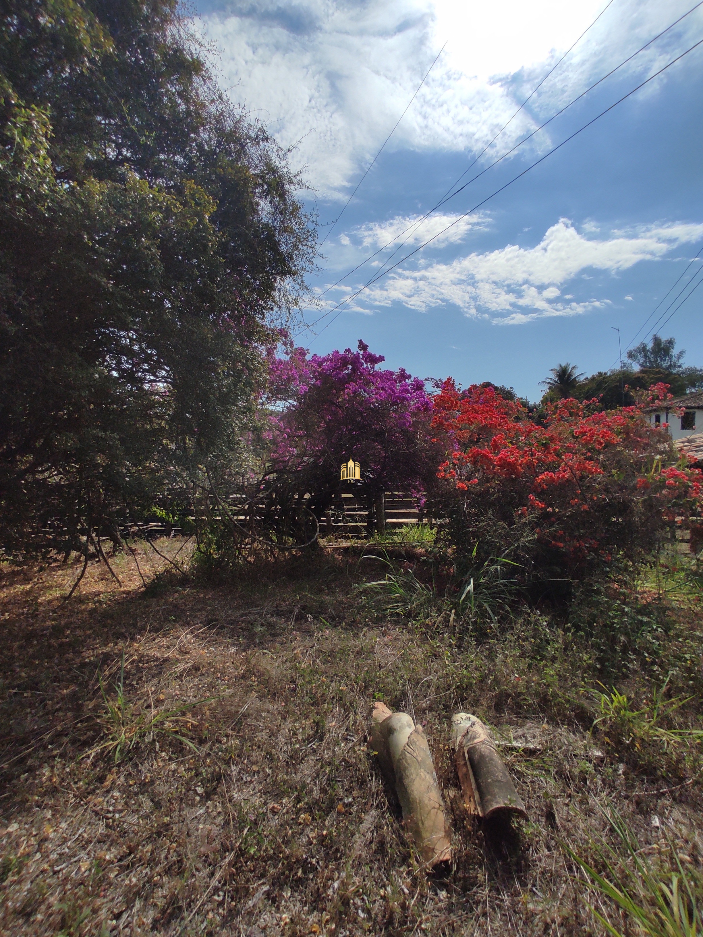 Fazenda à venda com 7 quartos, 1391707m² - Foto 82