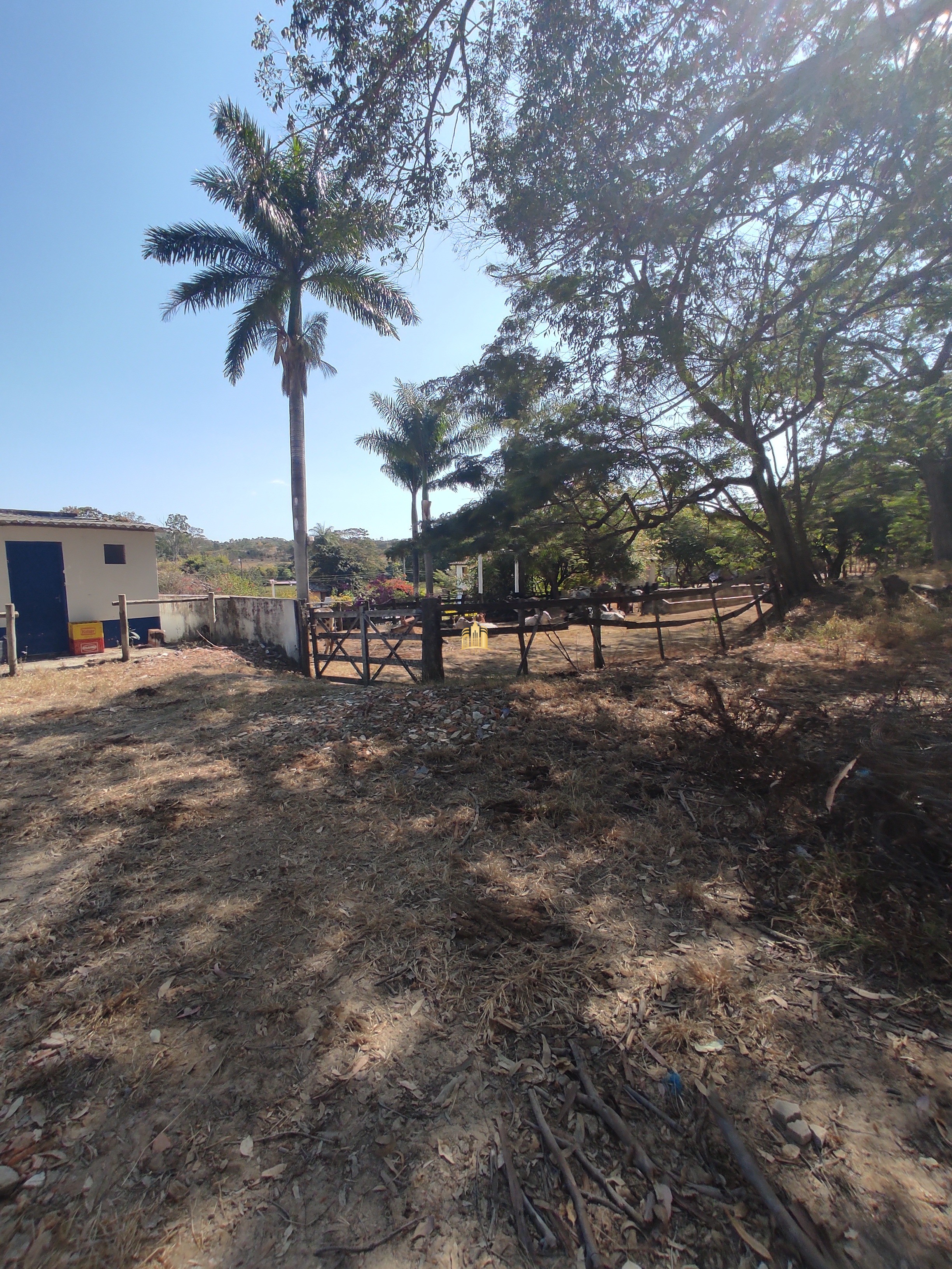 Fazenda à venda com 7 quartos, 1391707m² - Foto 54