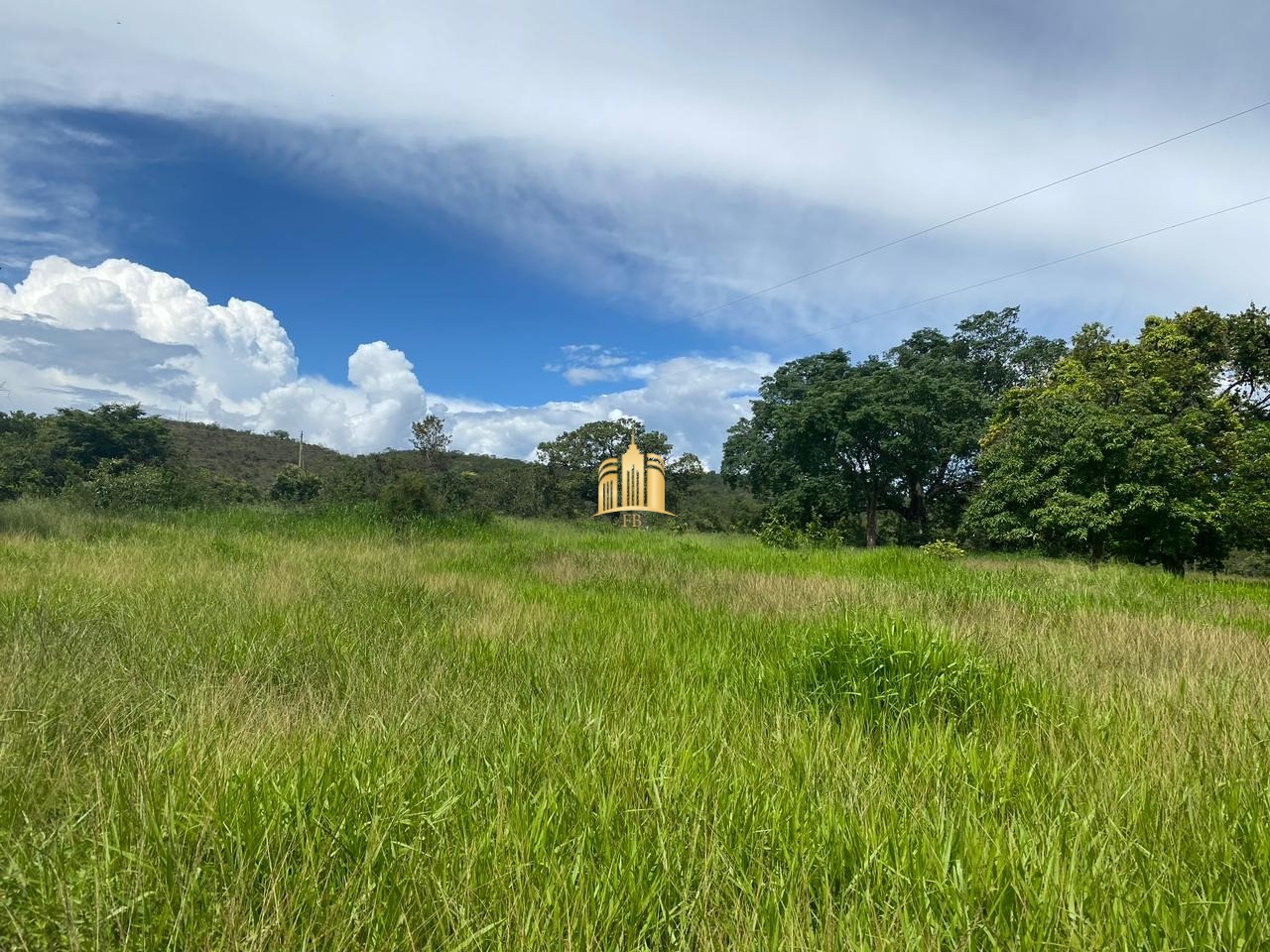 Fazenda à venda com 4 quartos, 1340000m² - Foto 16