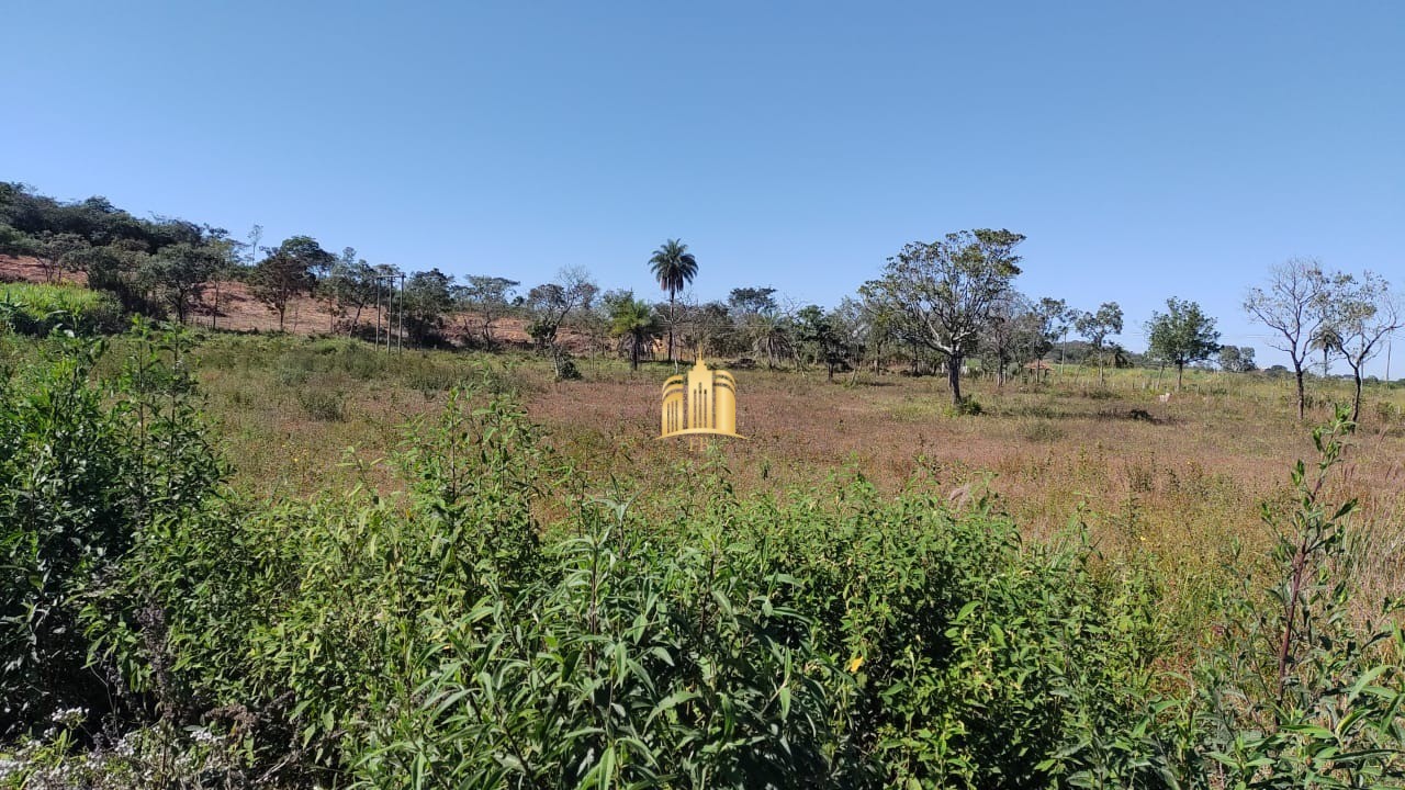 Terreno à venda, 20000m² - Foto 7