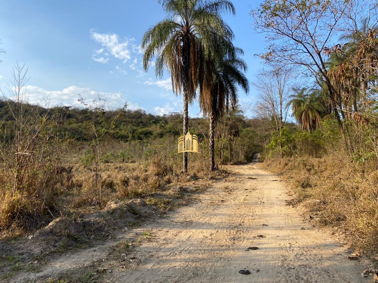 Fazenda à venda com 3 quartos, 600000m² - Foto 12