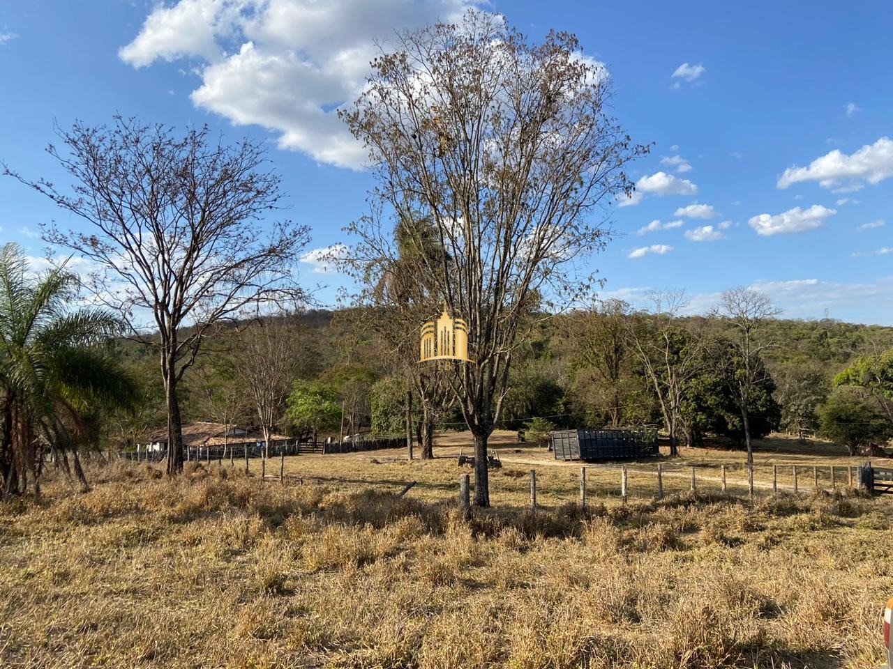 Fazenda à venda com 3 quartos, 600000m² - Foto 13