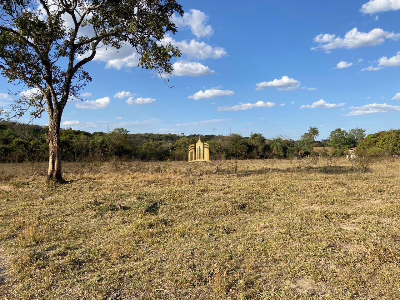 Fazenda à venda com 3 quartos, 600000m² - Foto 8