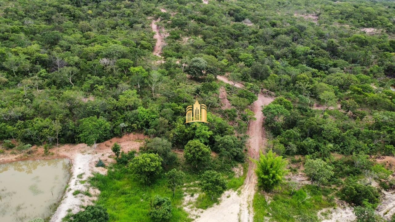 Fazenda à venda com 4 quartos, 1340000m² - Foto 14