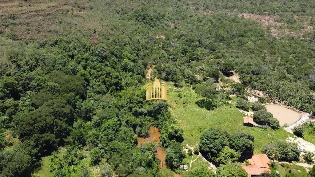 Fazenda à venda com 4 quartos, 1340000m² - Foto 7