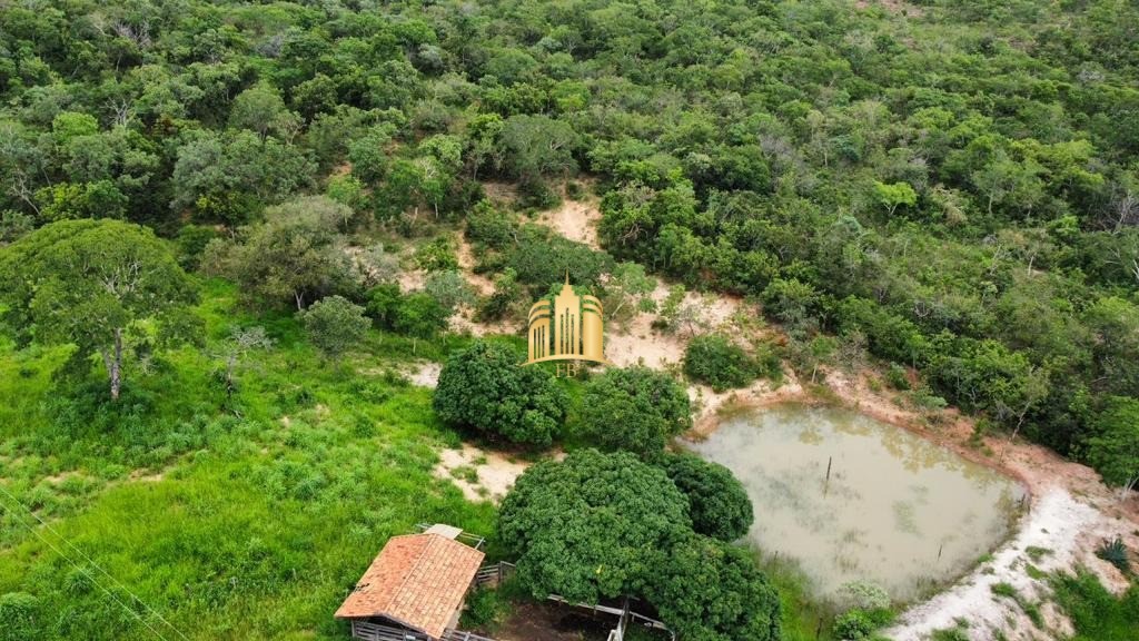 Fazenda à venda com 4 quartos, 1340000m² - Foto 10