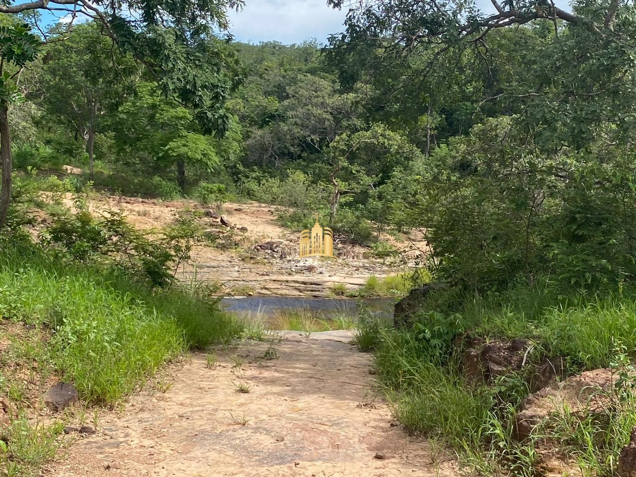 Fazenda à venda com 4 quartos, 1340000m² - Foto 17