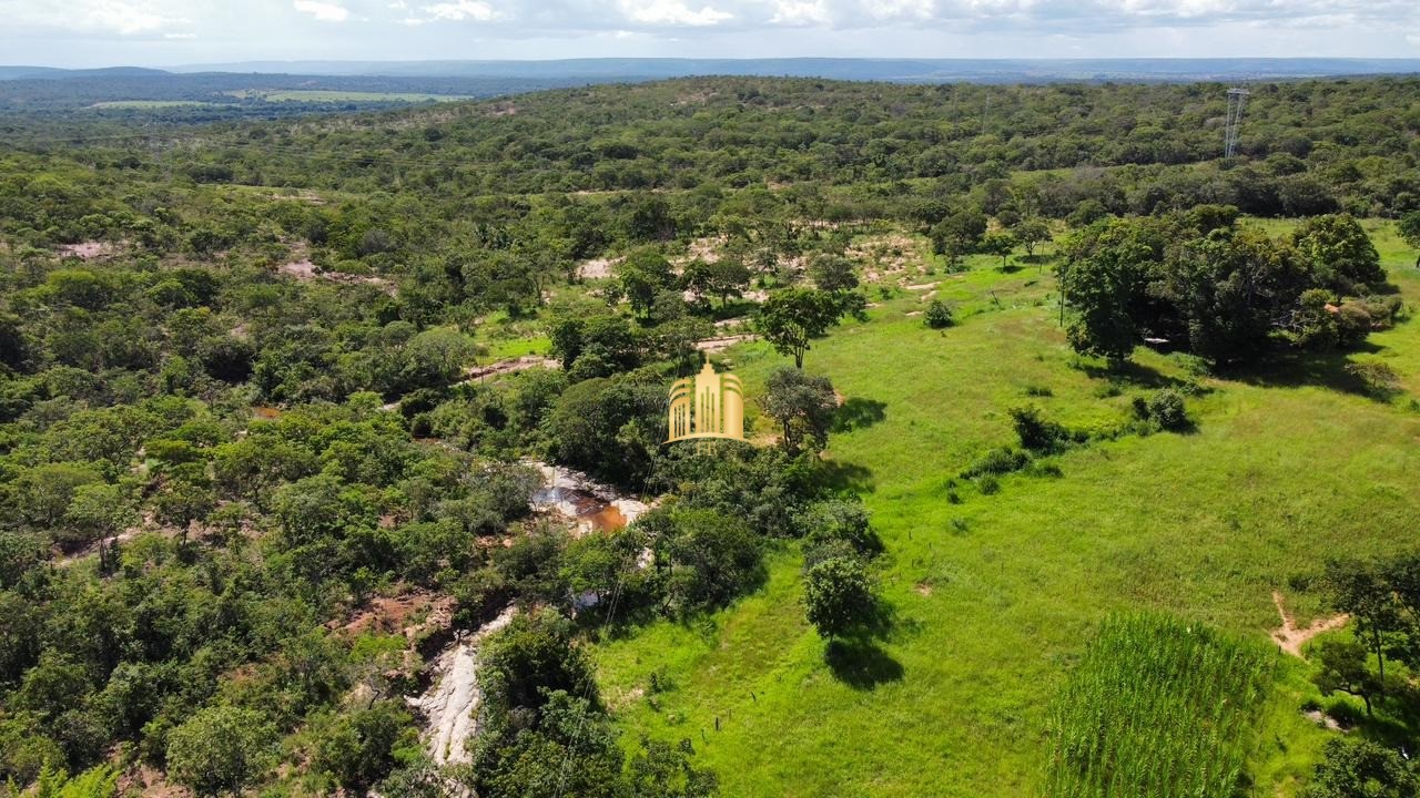 Fazenda à venda com 4 quartos, 1340000m² - Foto 11