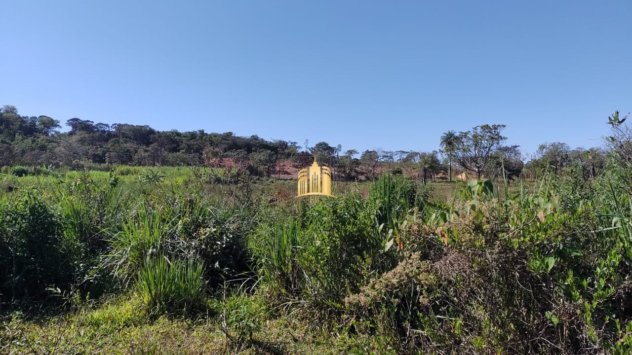 Terreno à venda, 20000m² - Foto 6