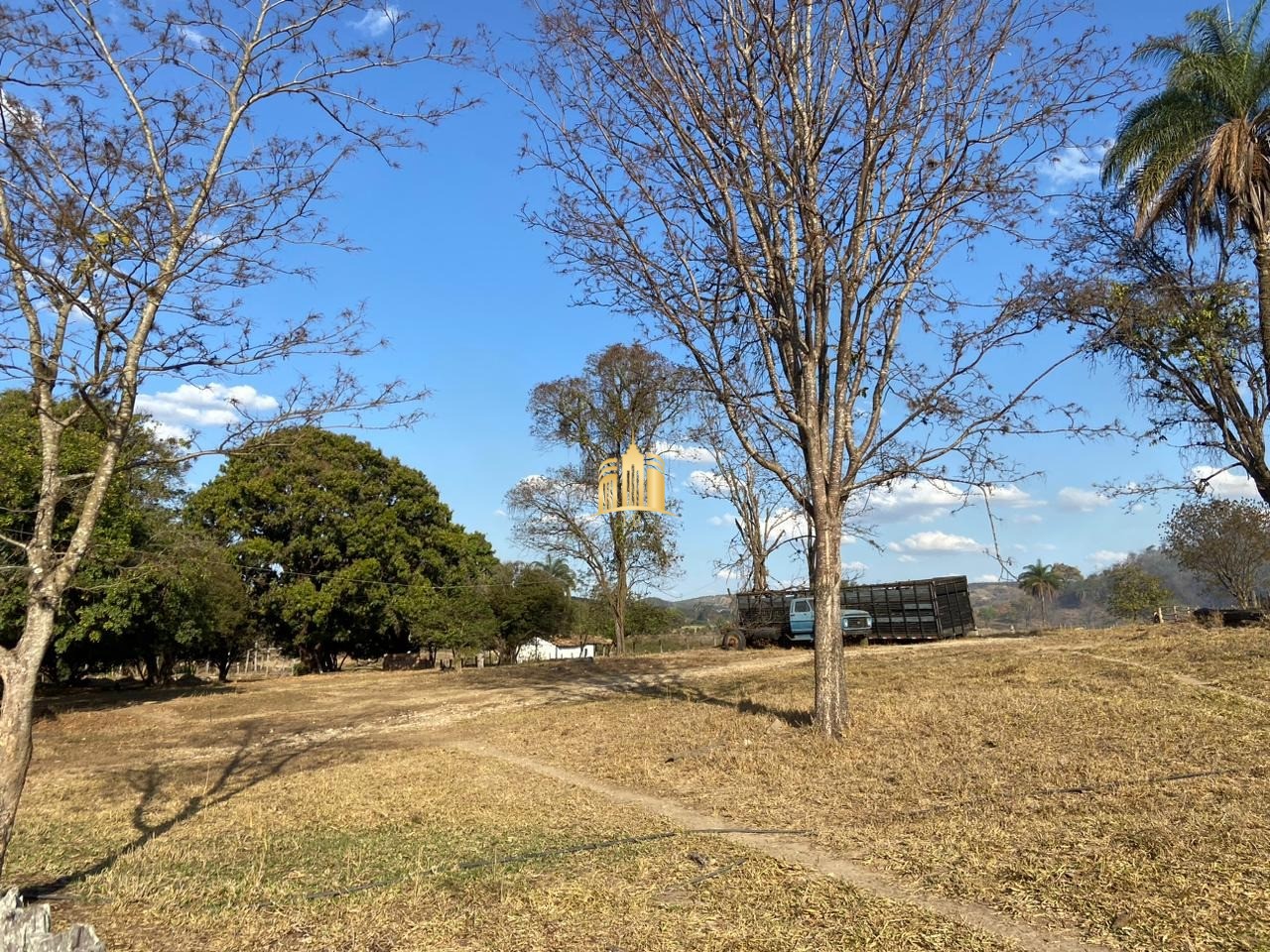 Fazenda à venda com 3 quartos, 600000m² - Foto 17