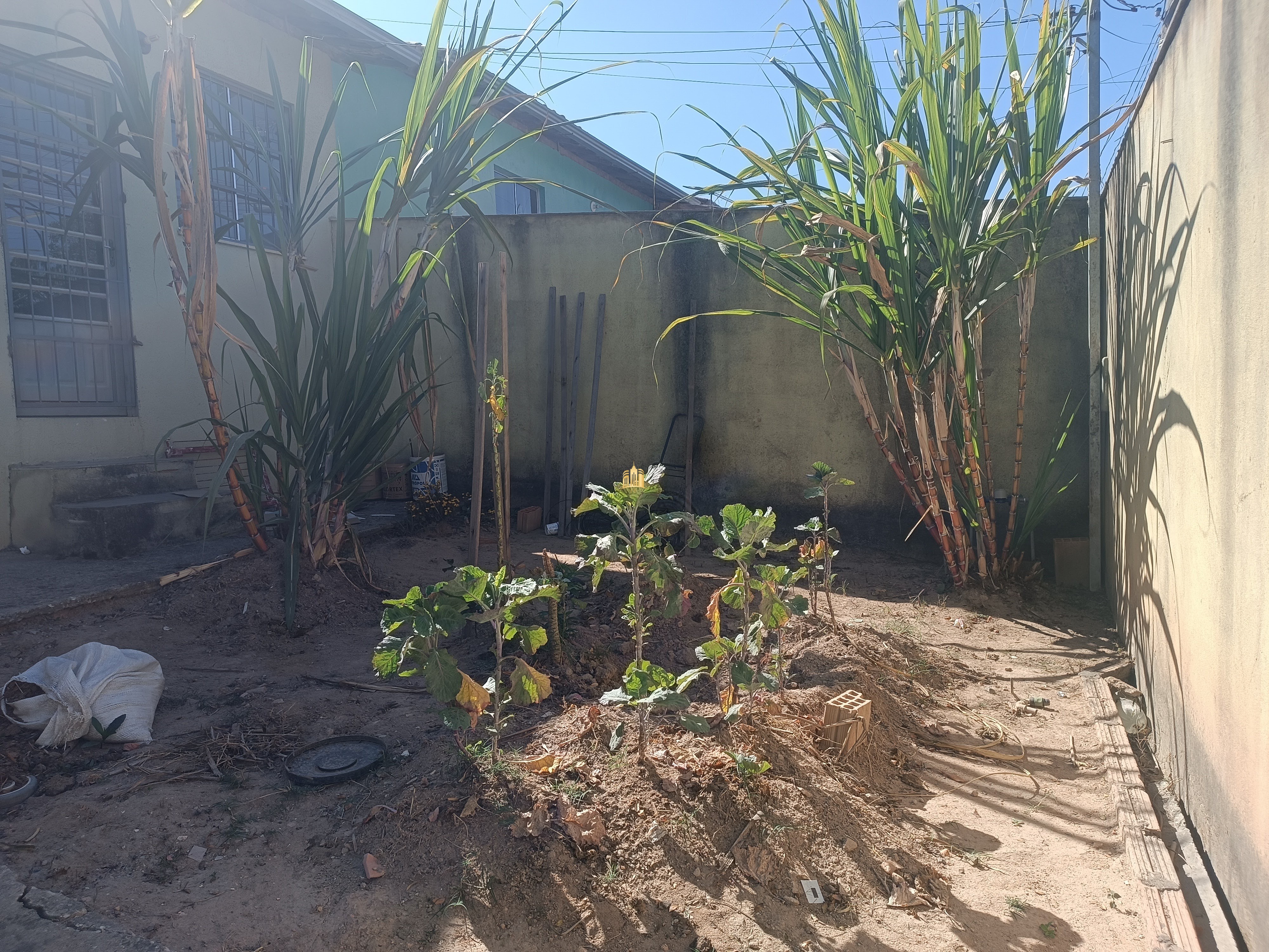 Casa à venda e aluguel com 2 quartos, 100m² - Foto 2