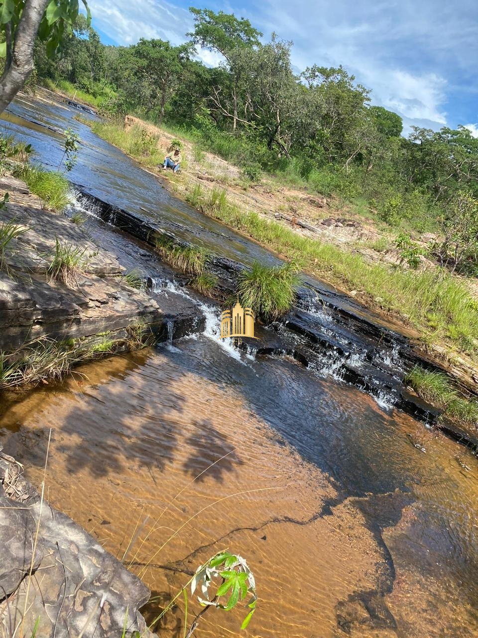 Fazenda à venda com 4 quartos, 1340000m² - Foto 22